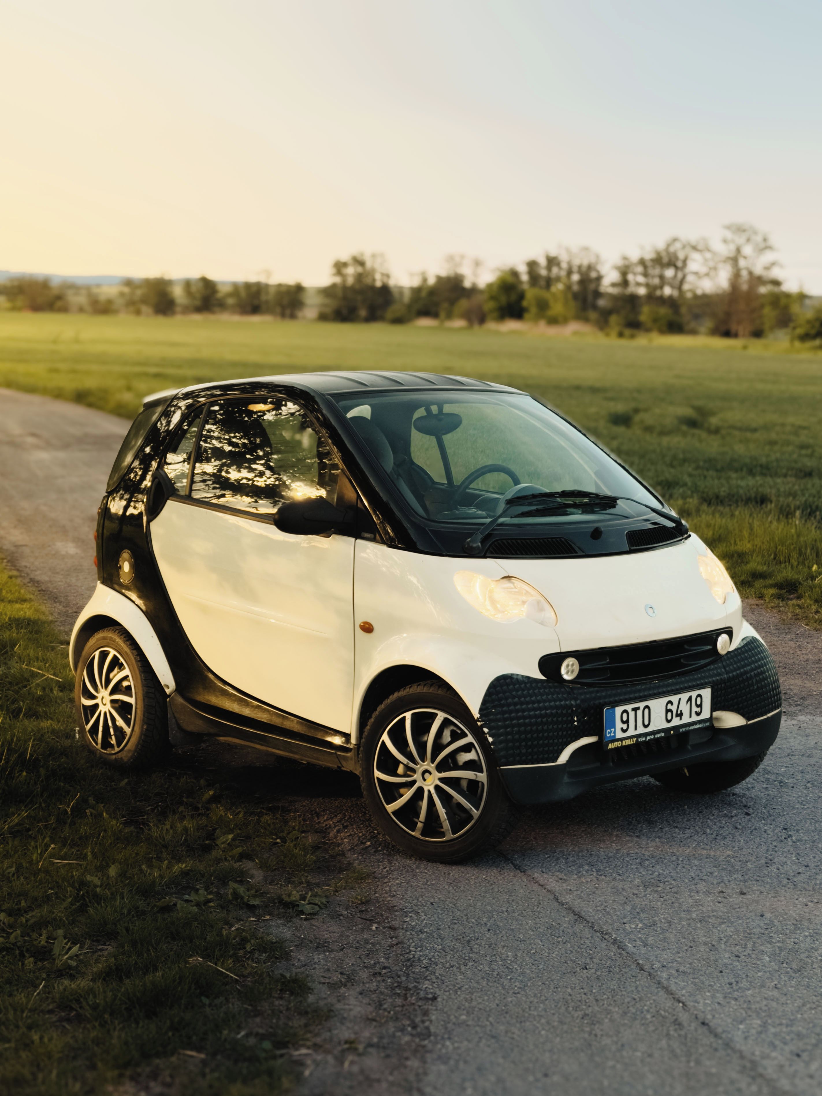 Smart Fortwo, 30 CDI - fotka 2