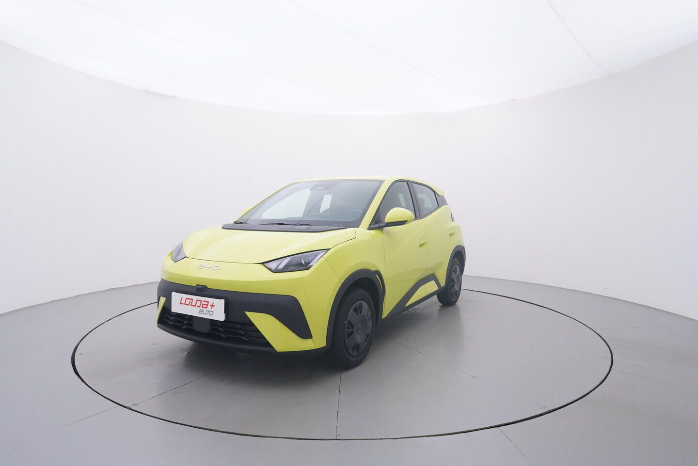 BYD Dolphin Surf, Active 65 kW kW