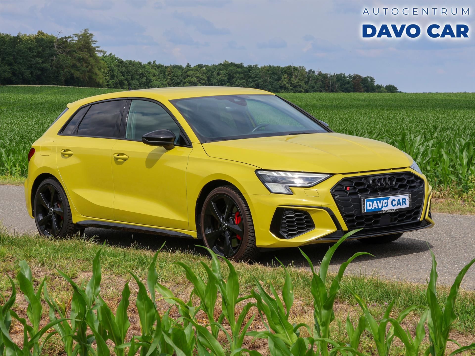 Audi S3, 2,0 TSI 228 kW quattro Automat