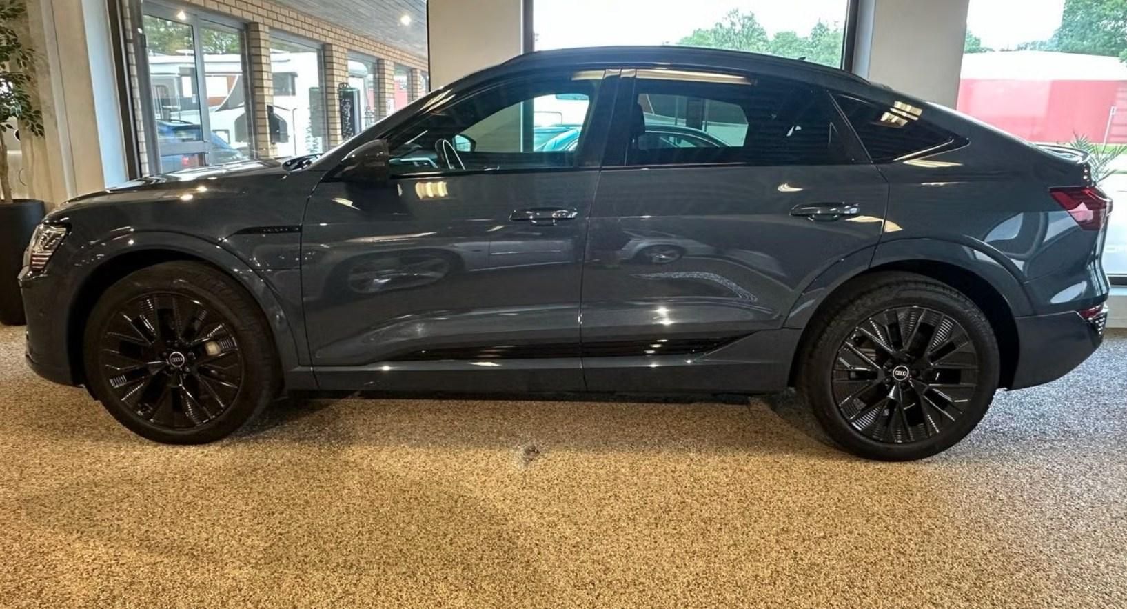 Audi Q8 e-tron, 55 Sportback Q 360 Matrix Pano - fotka 3
