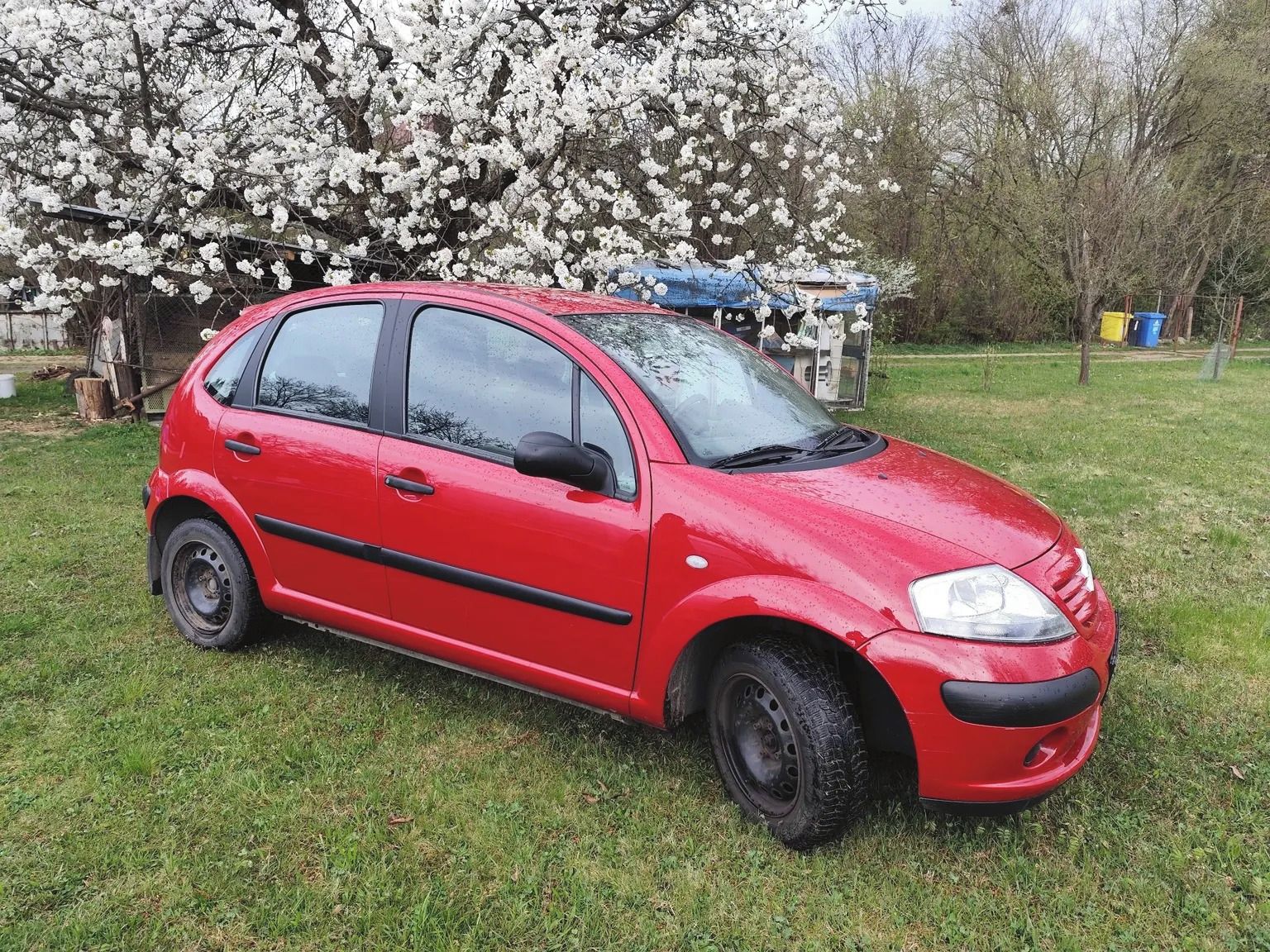 Citroën C3, Citroen C3, 1,1, 2003, 38400km - fotka 2