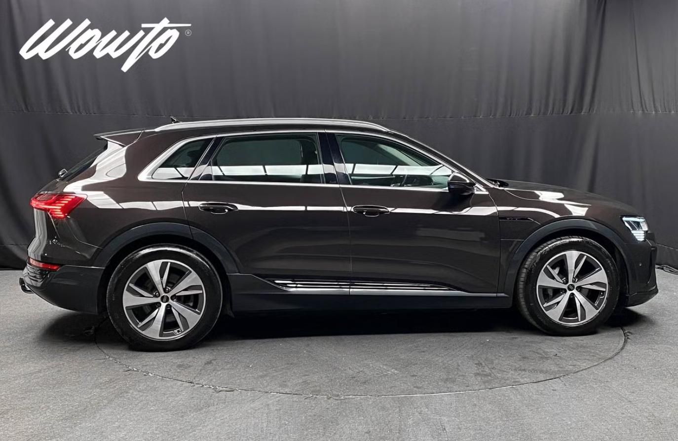 Audi Q8 e-tron, 55 Quattro Kamera Matrix Tažné - fotka 3