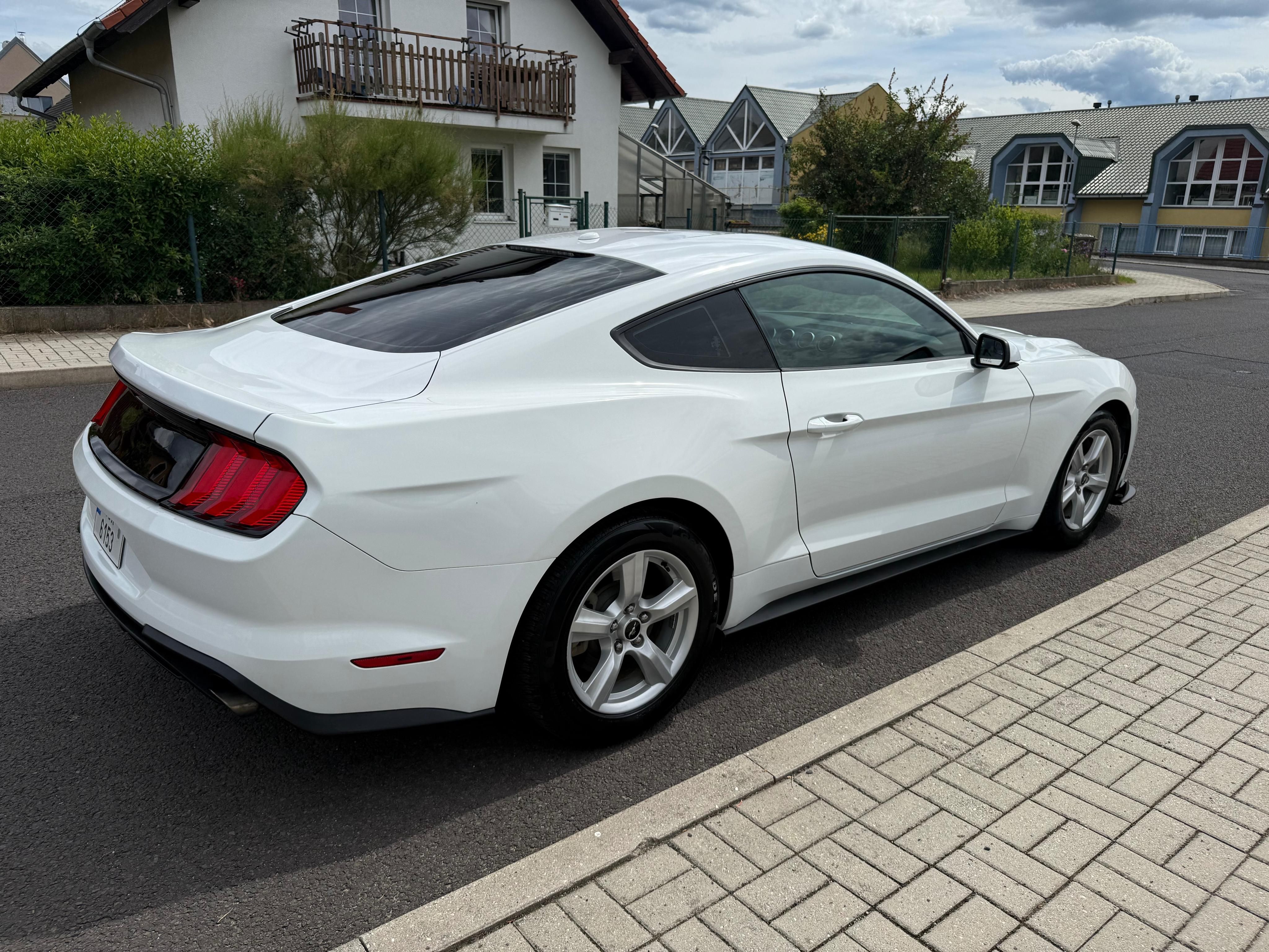 Ford Mustang, Ford Mustang 2,3 Turbo - fotka 5