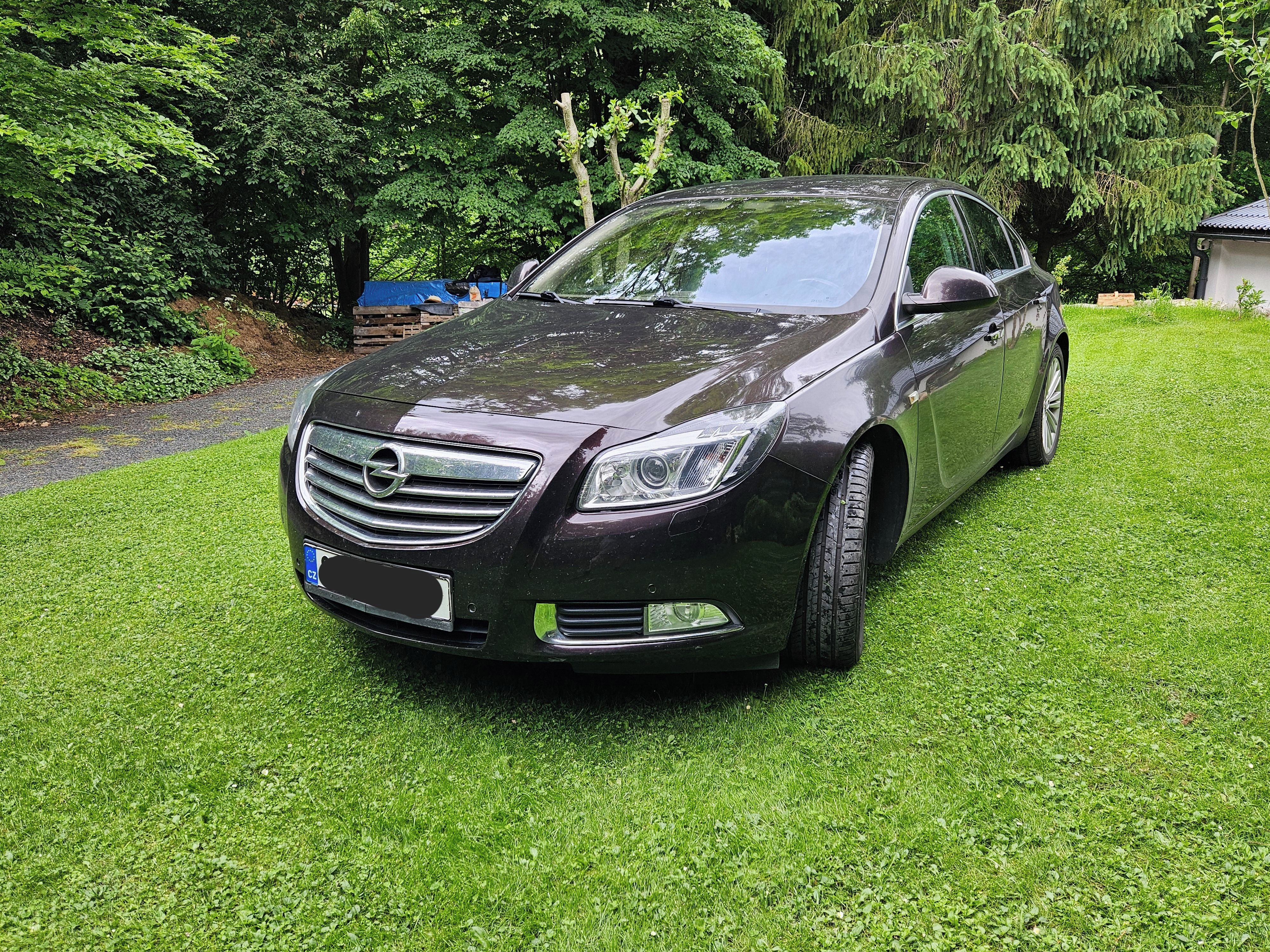 Opel Insignia, 1 majitel - fotka 2