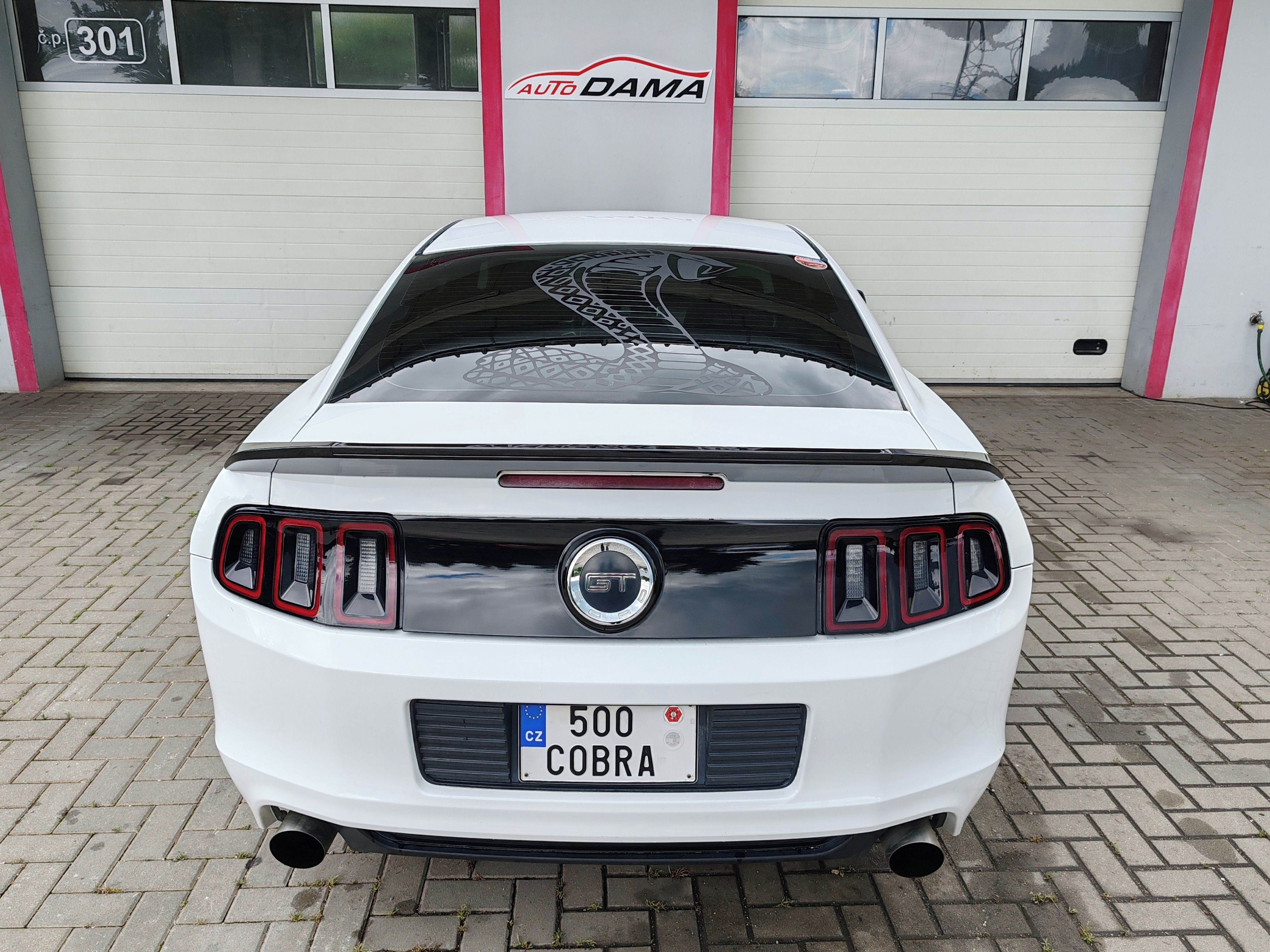Ford Mustang, 5.0 GT CCA 500PS - fotka 5