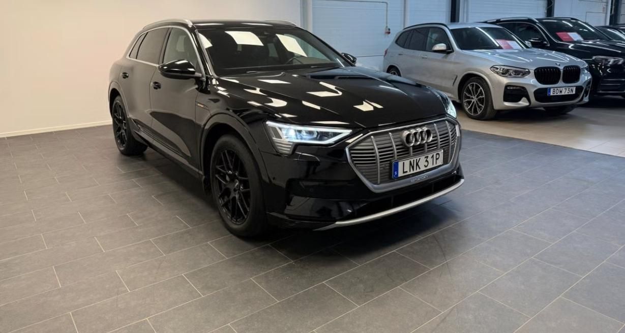 Audi e-tron, 55 Quattro Kamera Vzduch LED - fotka 5