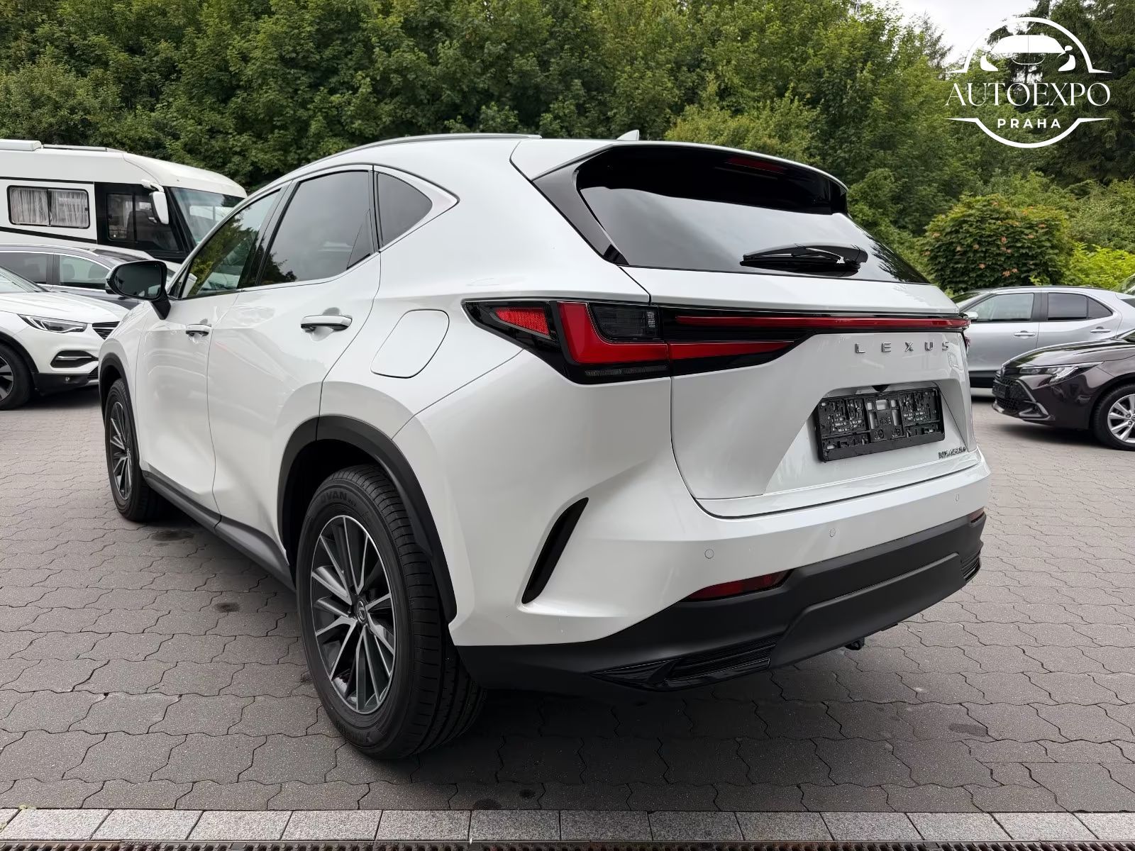 Lexus NX 450h, + E-FOUR Business - fotka 5