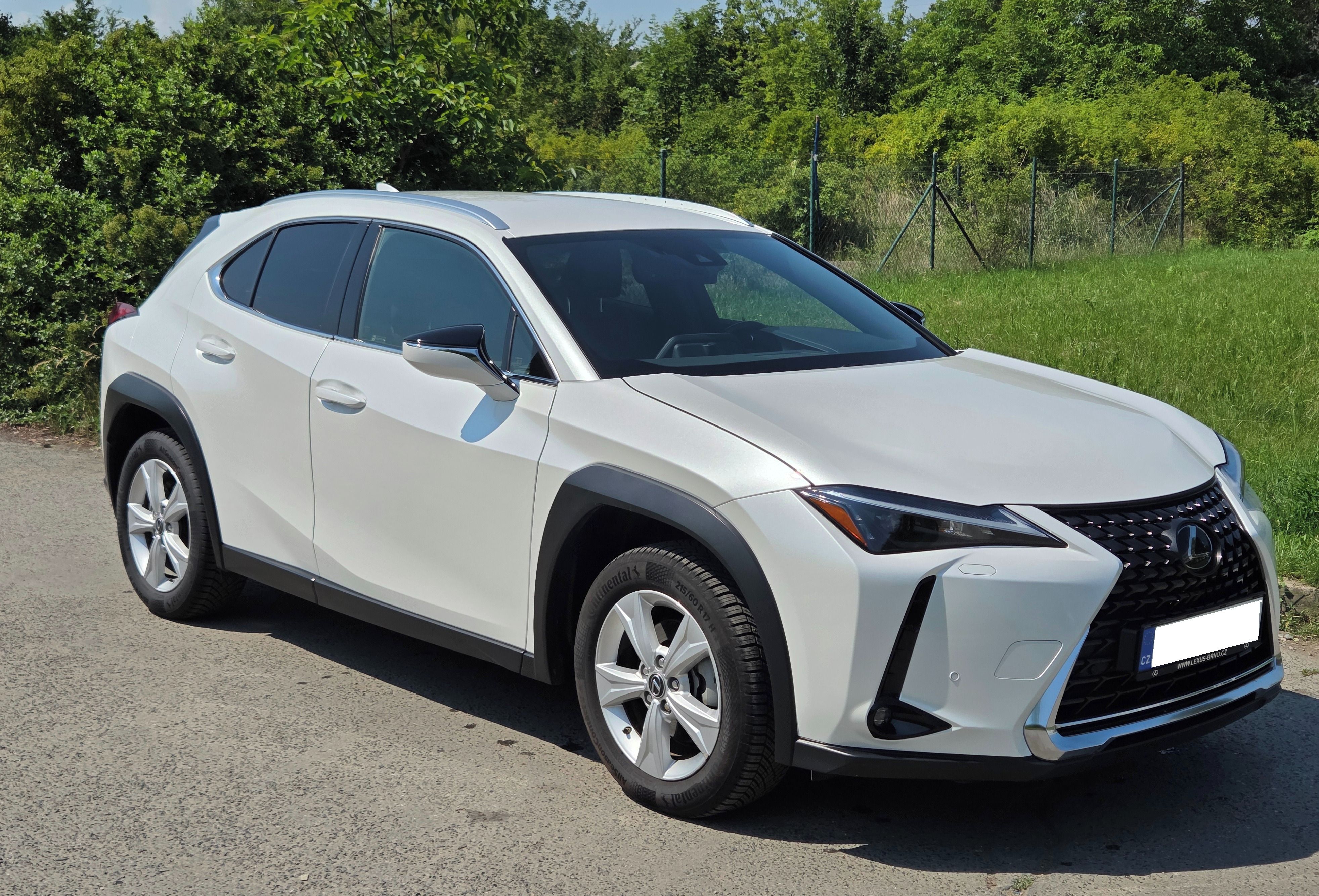 Lexus UX 250h, Lexus UX 250h Business Edition