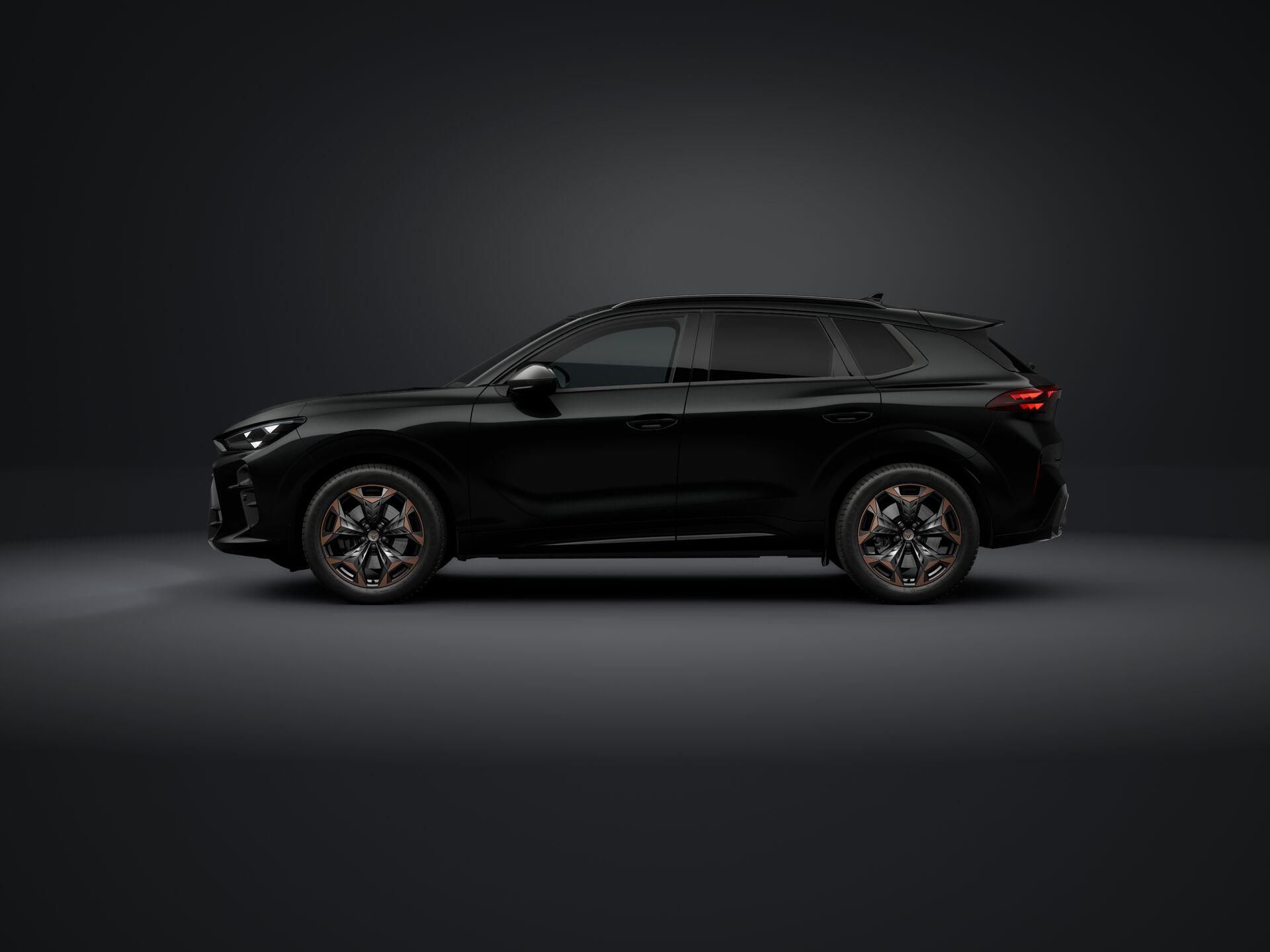Cupra Terramar, 2.0 TSI / 150 kW - fotka 2
