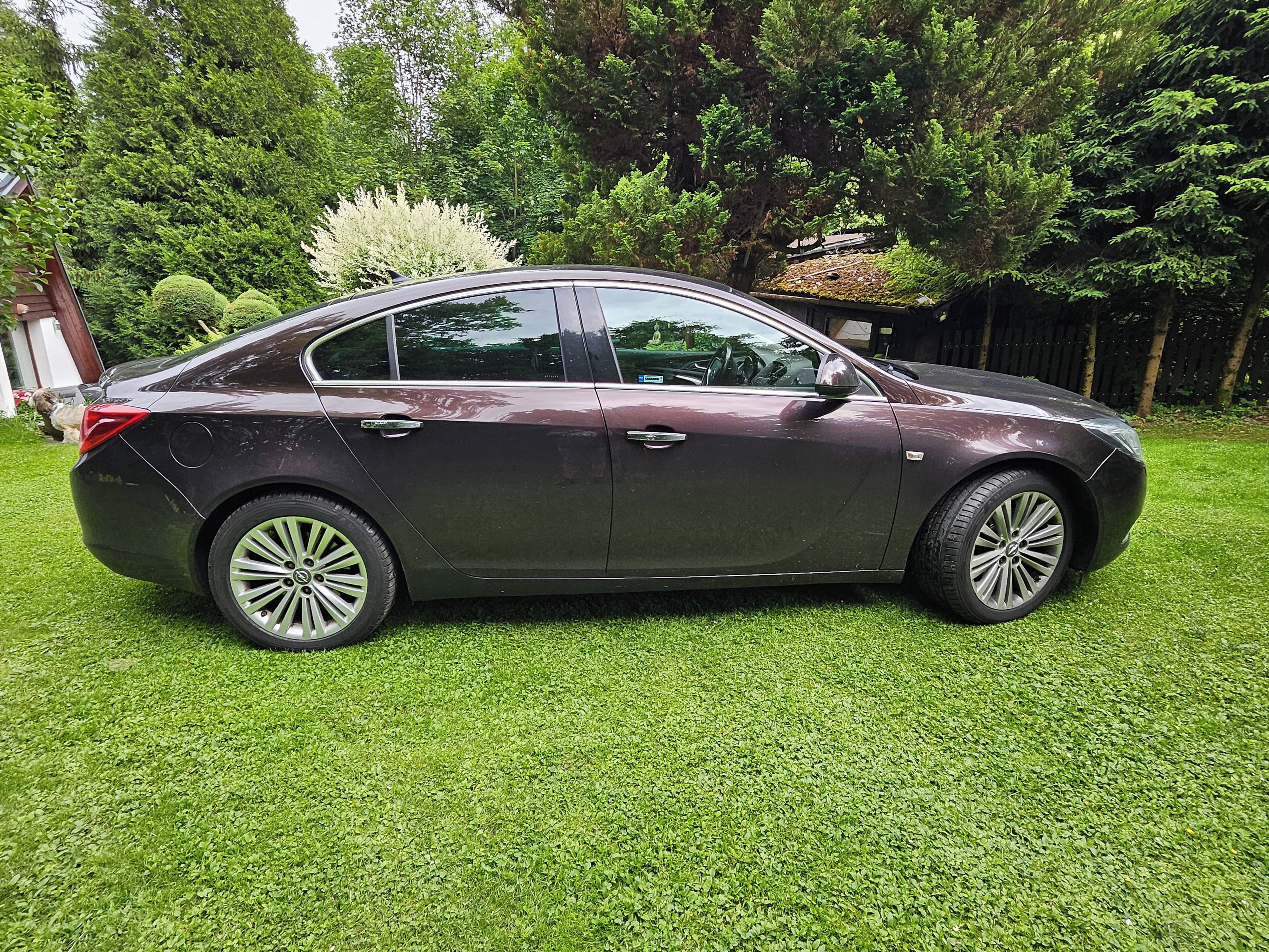 Opel Insignia, 1 majitel - fotka 4