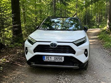 2,5 HSD e-CVT Selection AWD