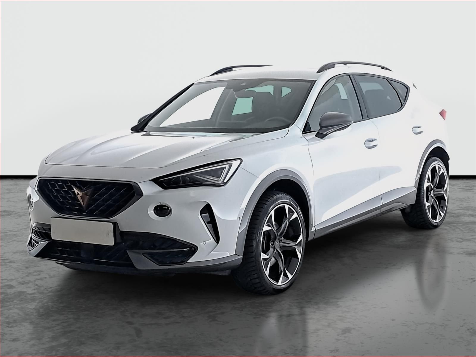 Cupra Formentor, 2.0 TSI 4Drive, Záruka, 4X4 - fotka 2