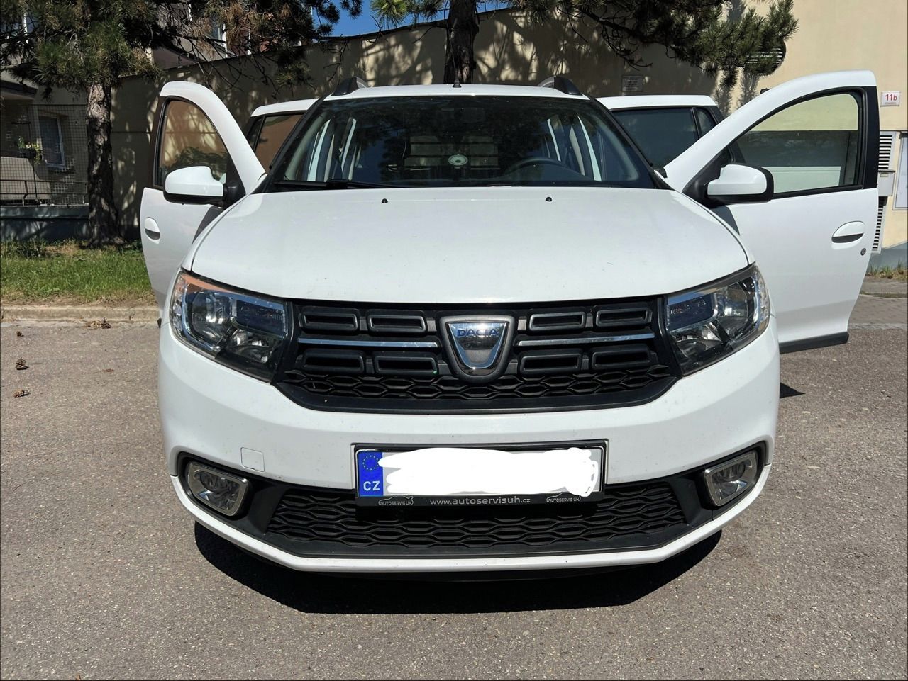 Dacia Logan, Arctica