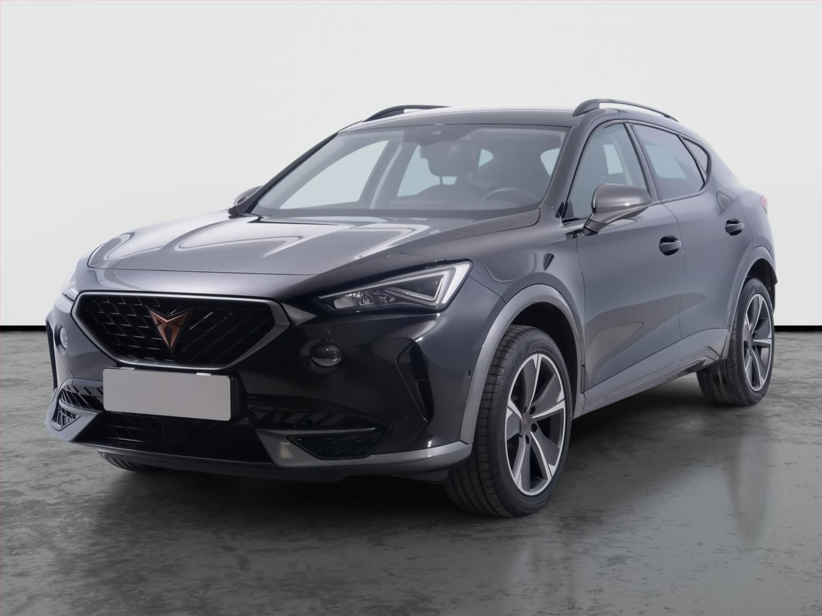 Cupra Formentor, 2.0 TSI 4Drive, 4X4, Automat - fotka 2