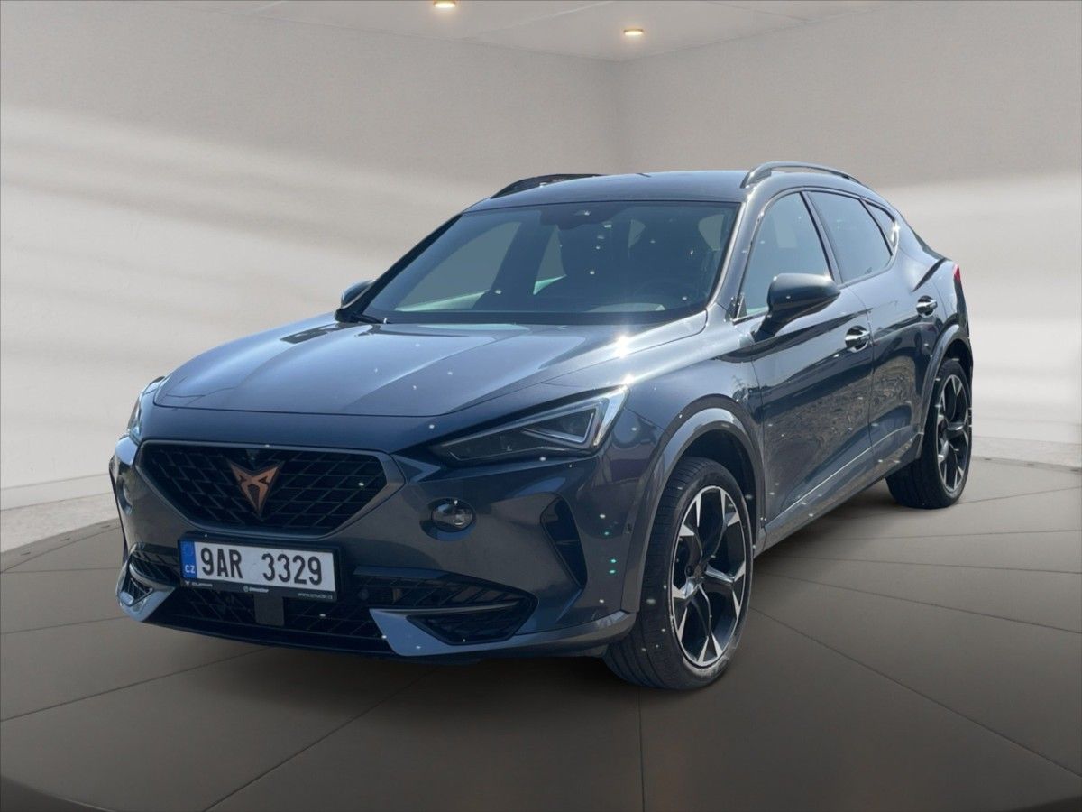 Cupra Formentor, 2,0 TSI DSG - fotka 3