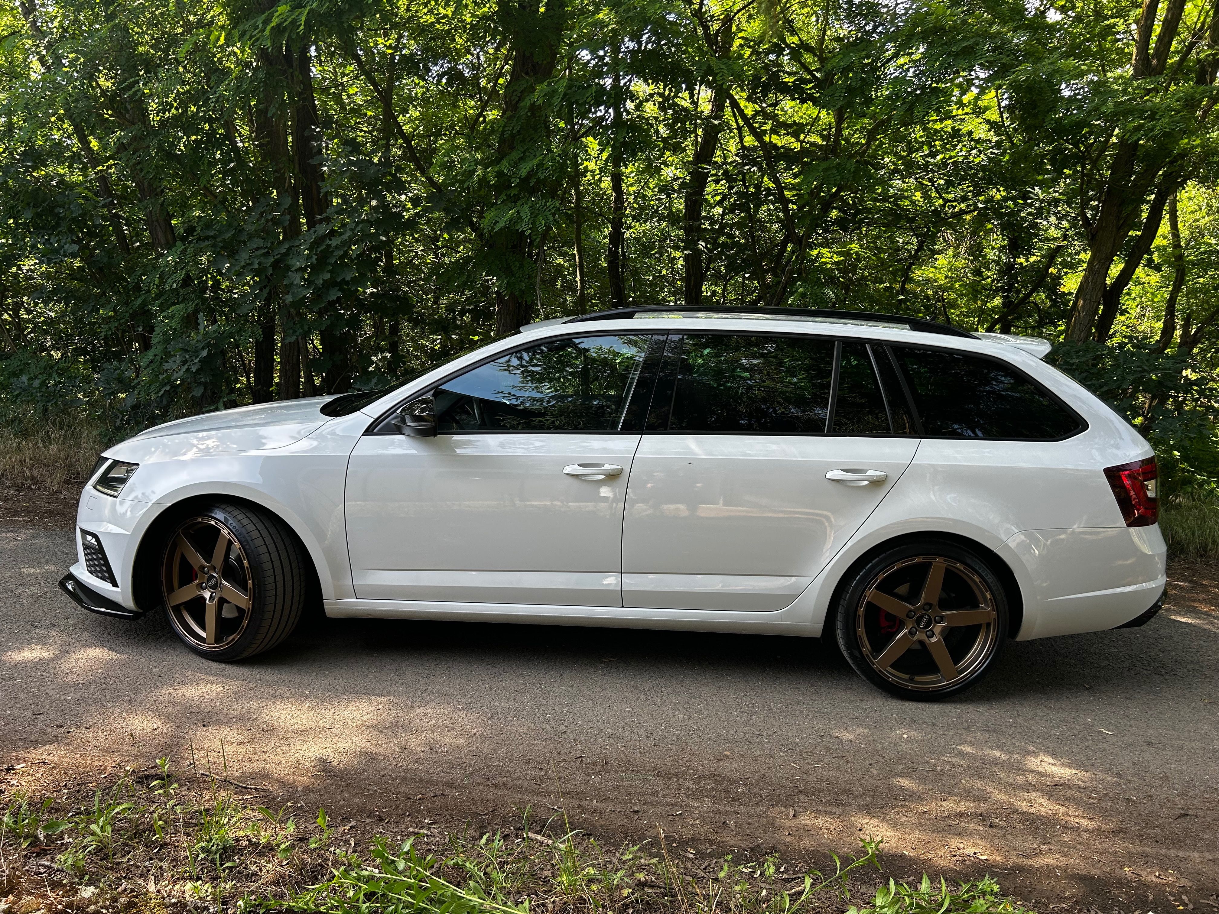 Škoda Octavia, RS, 2.0 TDI, 4x4, DSG, Tažné - fotka 5