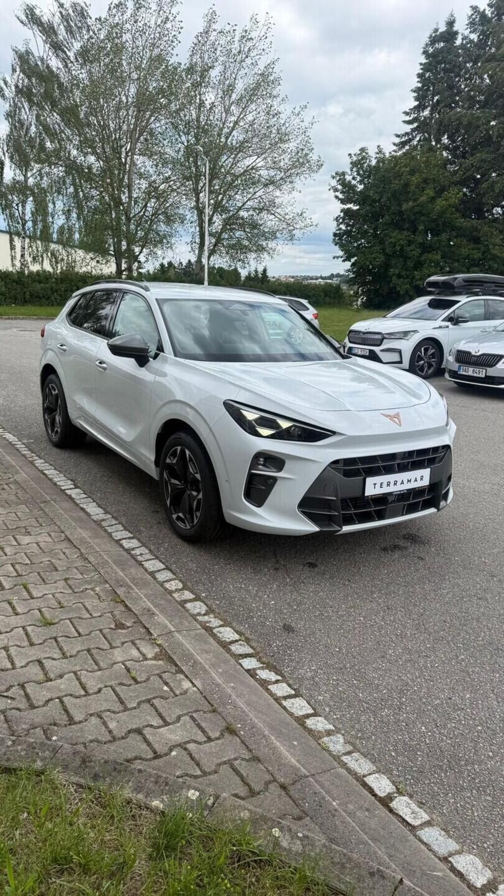 Cupra Terramar, 2.0 TSI 4WD 150 kW - fotka 3
