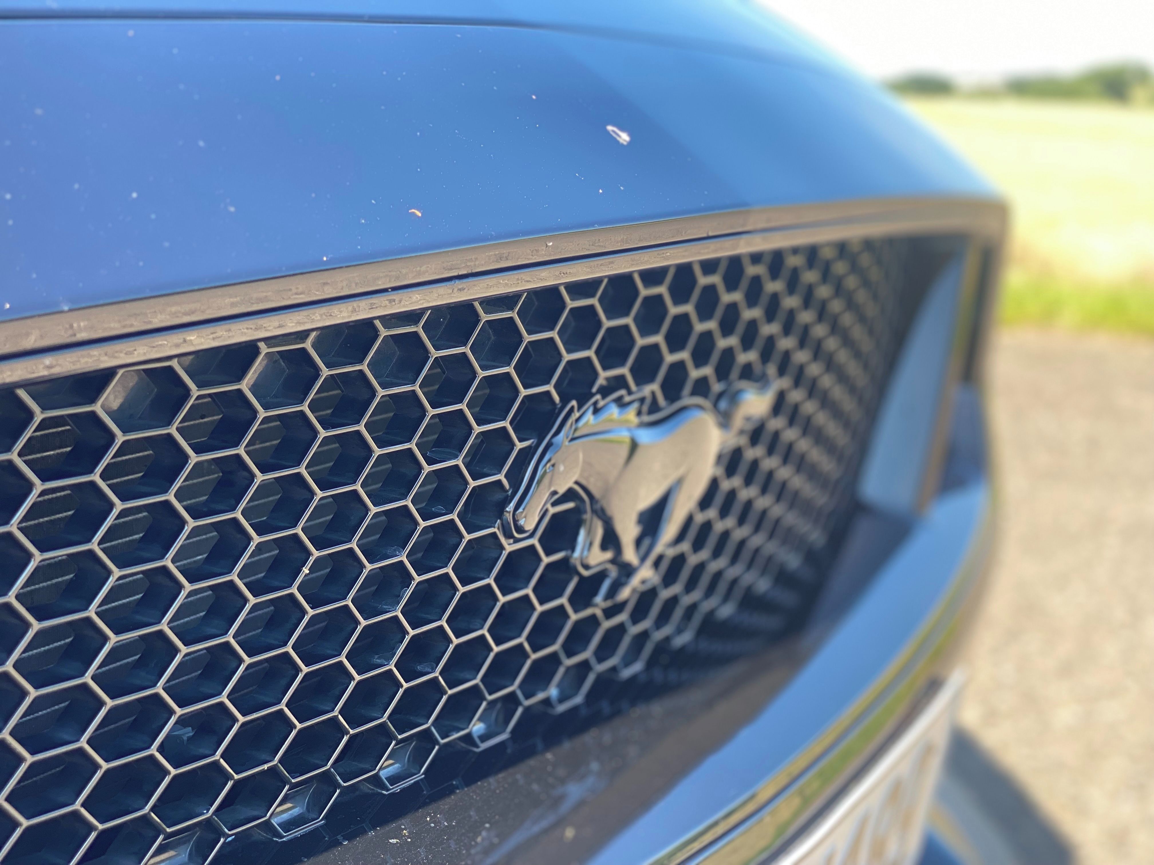 Ford Mustang, FORD MUSTANG 5.0 Perf.,Premium