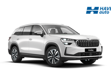 Exclusive Selection 2.0 TDI 11