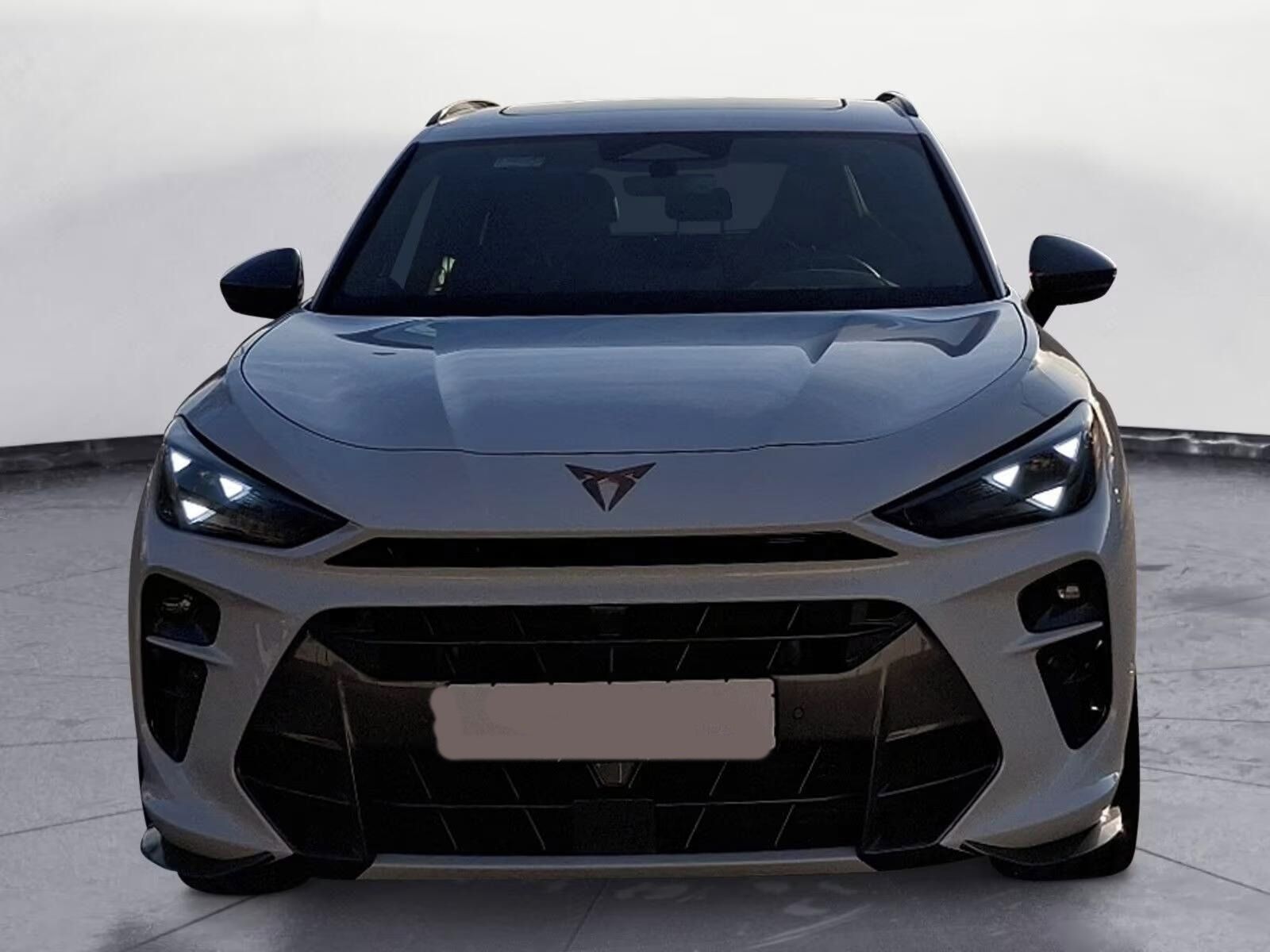 Cupra Terramar, VZ 2.0 TSI  4Drive*360° kamera - fotka 3