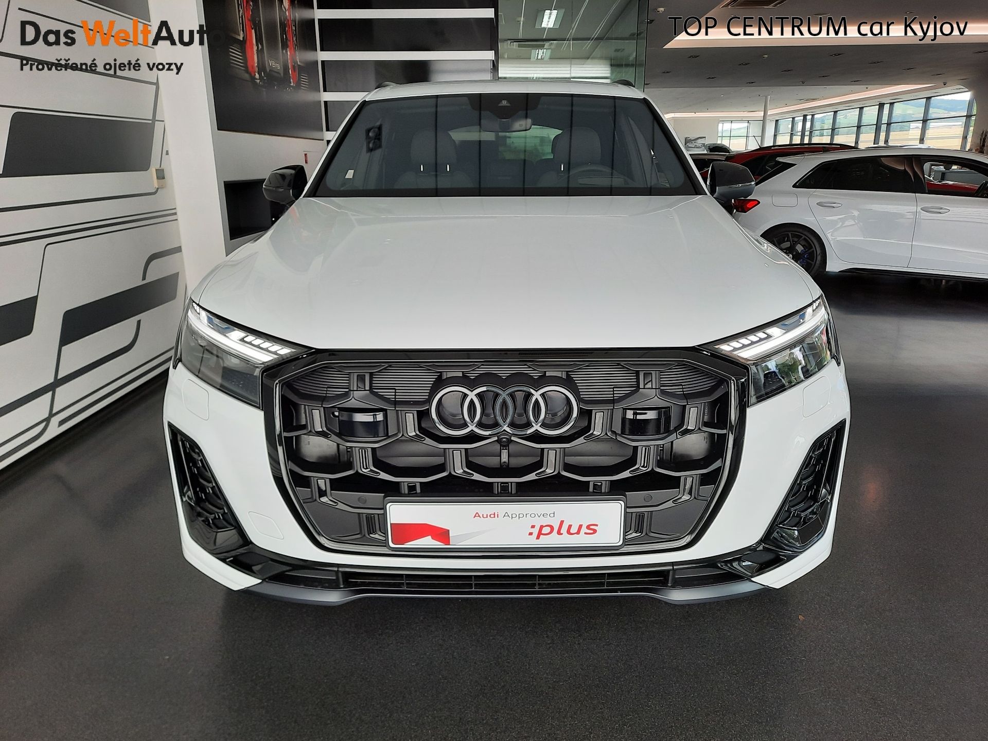 Audi Q7, 50 TDI quattro (210kW/286k) Ti - fotka 4