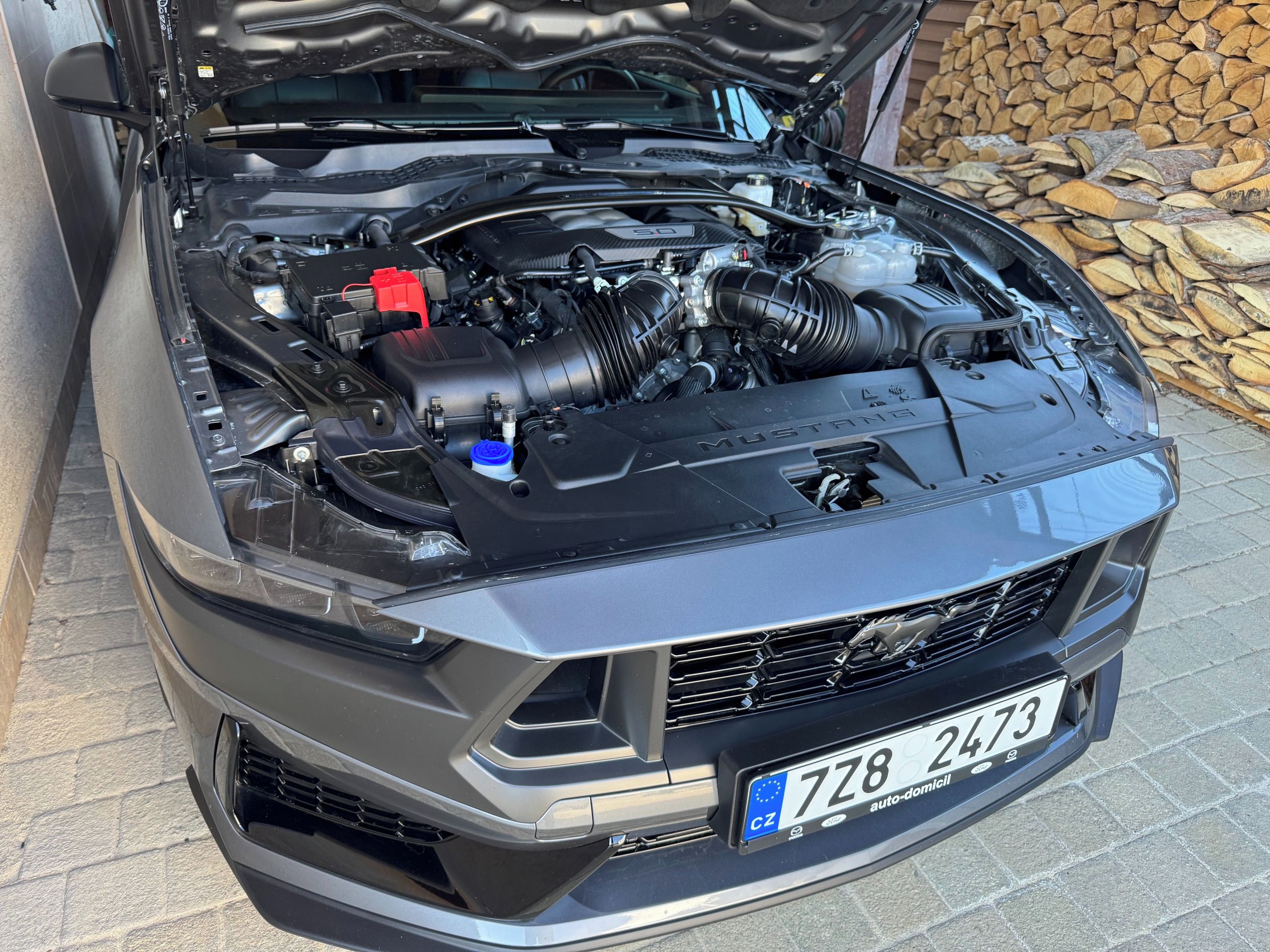 Ford Mustang, 5.0 DARK HORSE TREMEC - fotka 6