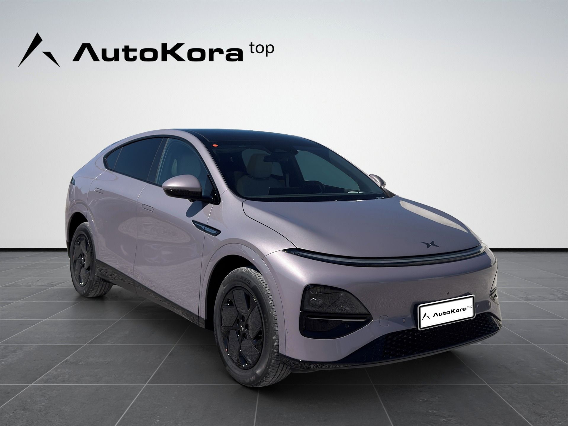 XPENG G6, RWD Standard Range, 185kw