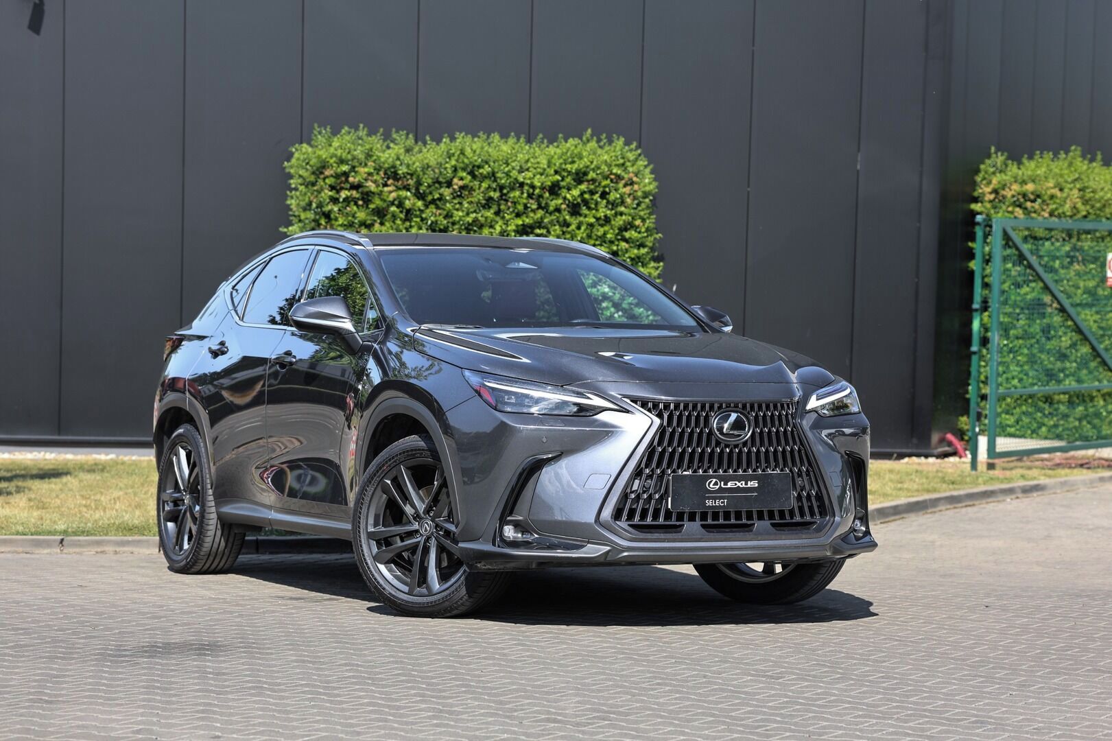 Lexus NX 350h, 350H 2,5 HEV EXECUTIVE TOP - fotka 2