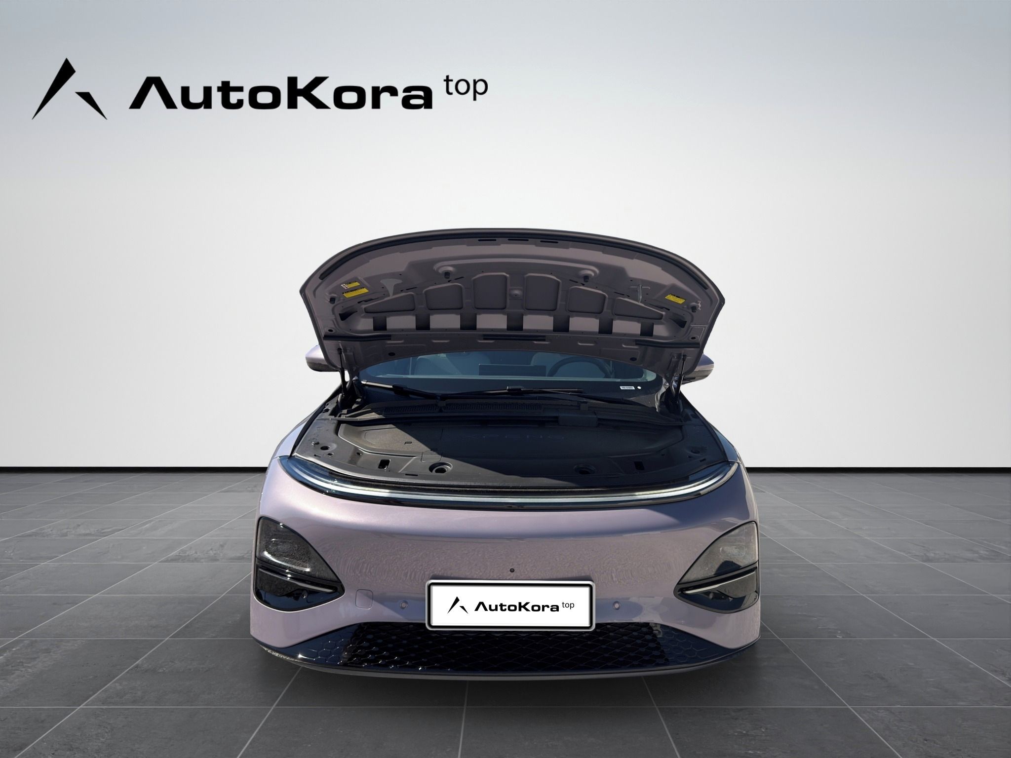 XPENG G6, RWD Standard Range, 185kw - fotka 3