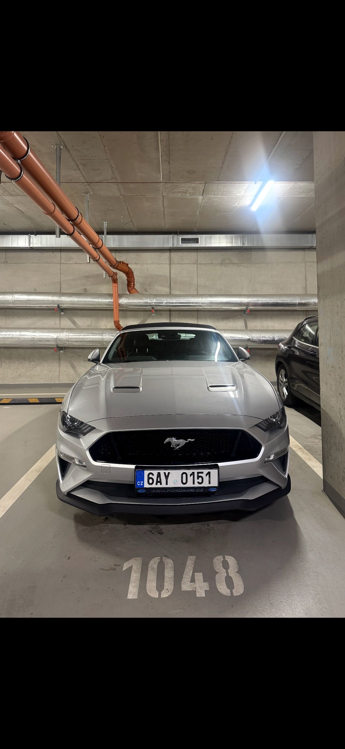 Ford Mustang, Ford Mustang,  GT 5.0 V8 Conve - fotka 6