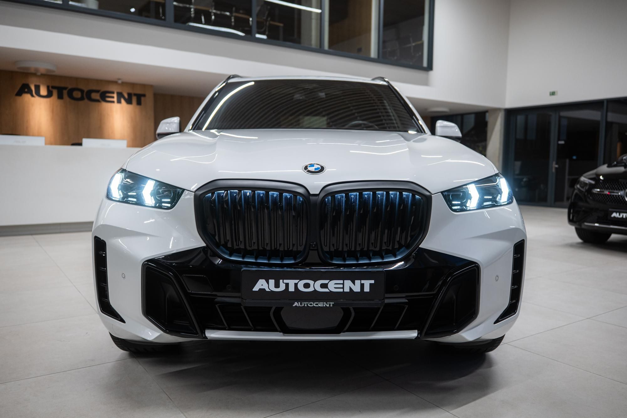 BMW X5, 30d 7MÍST VZDUCH MASÁŽ WEBASTO - fotka 2