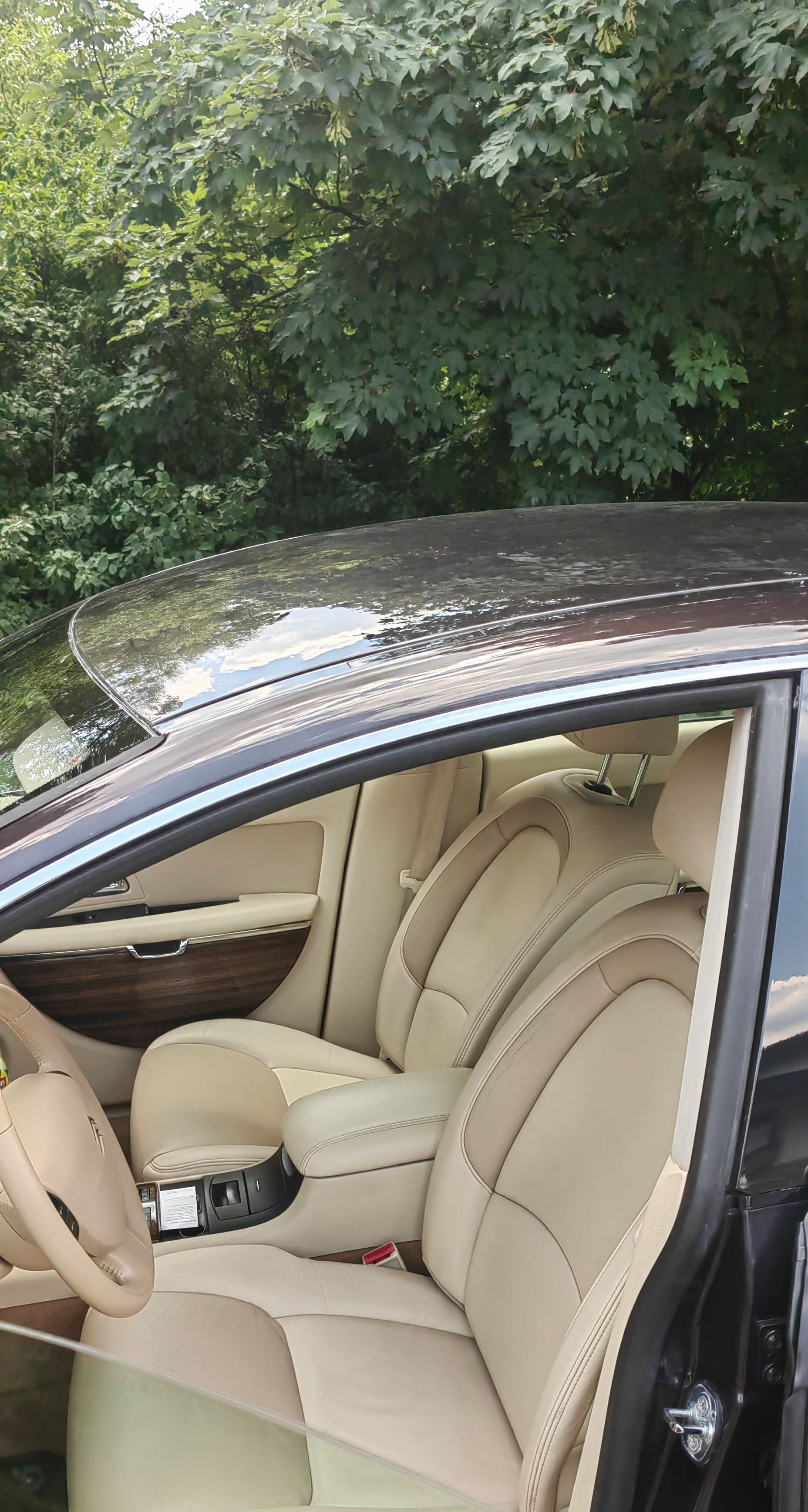 Citroën C6, Benzin, Ganache, Bilá kuže - fotka 6