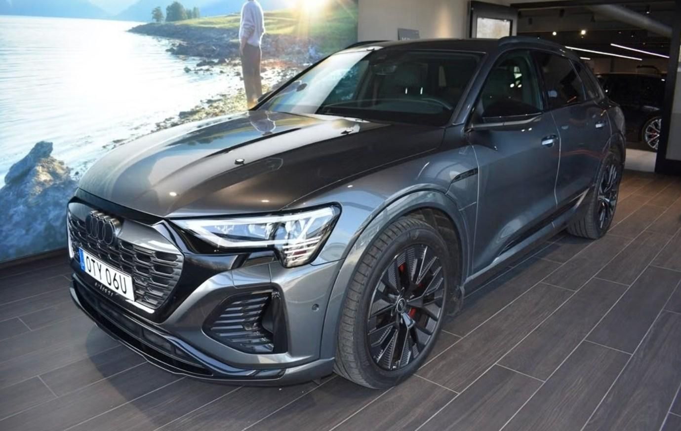 Audi Q8 e-tron, 55 Q S-Line Kamera Matrix Taž.