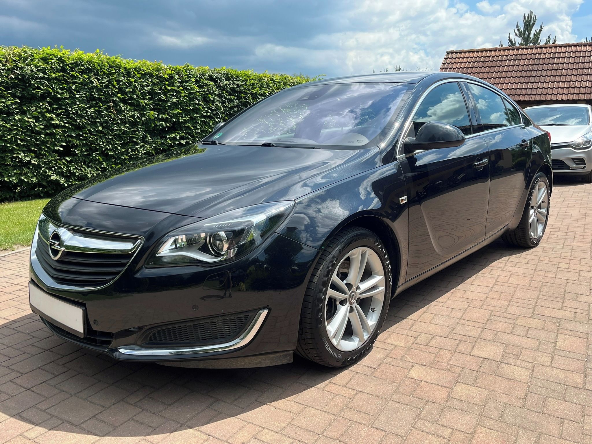 Opel Insignia, 2.0 T 184kW Navi Xenon 1.Maj - fotka 4