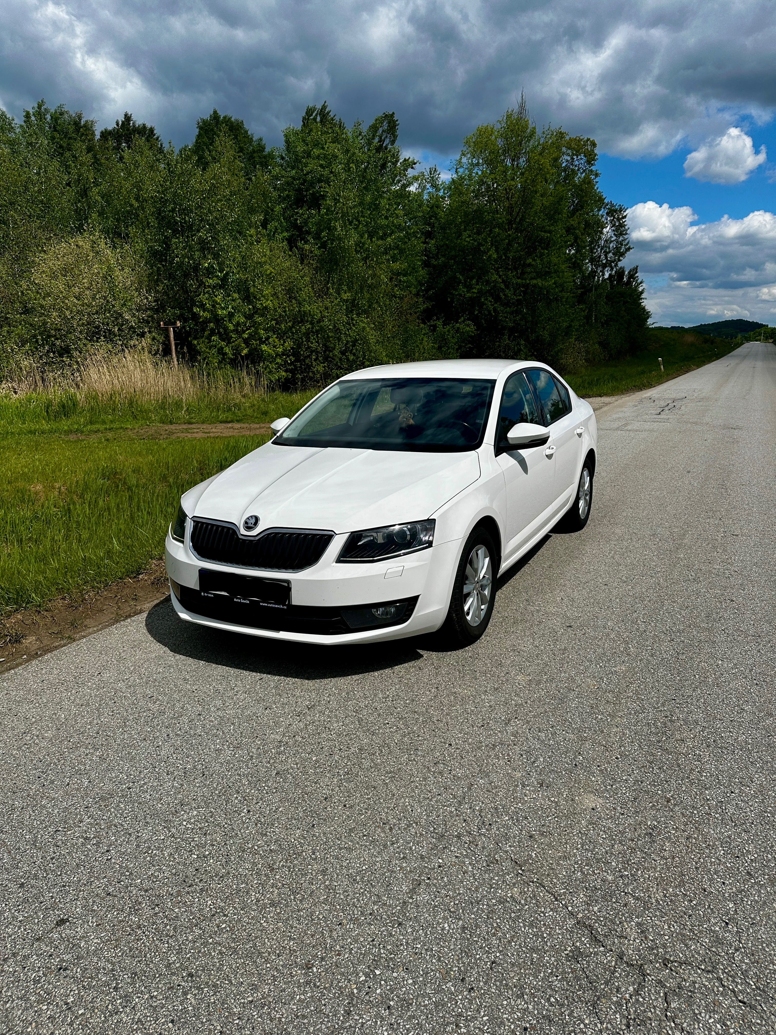 Škoda Octavia, ČR, 141tis,xenony
