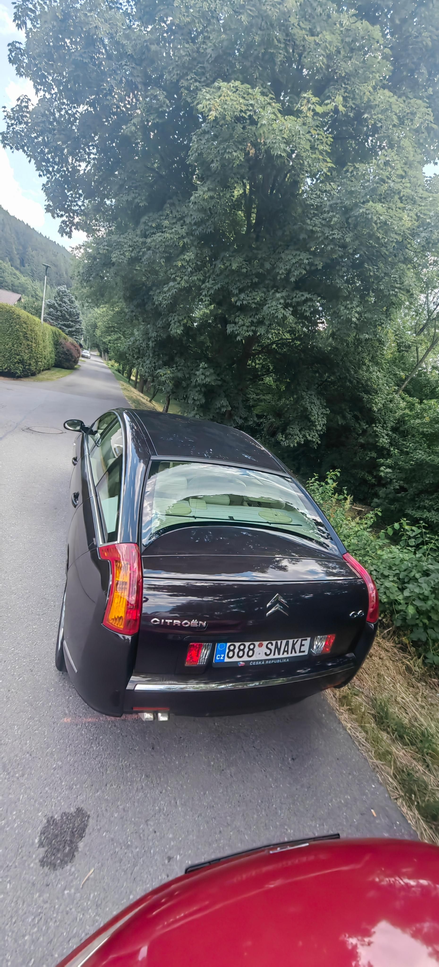 Citroën C6, Benzin, Ganache, Bilá kuže - fotka 4