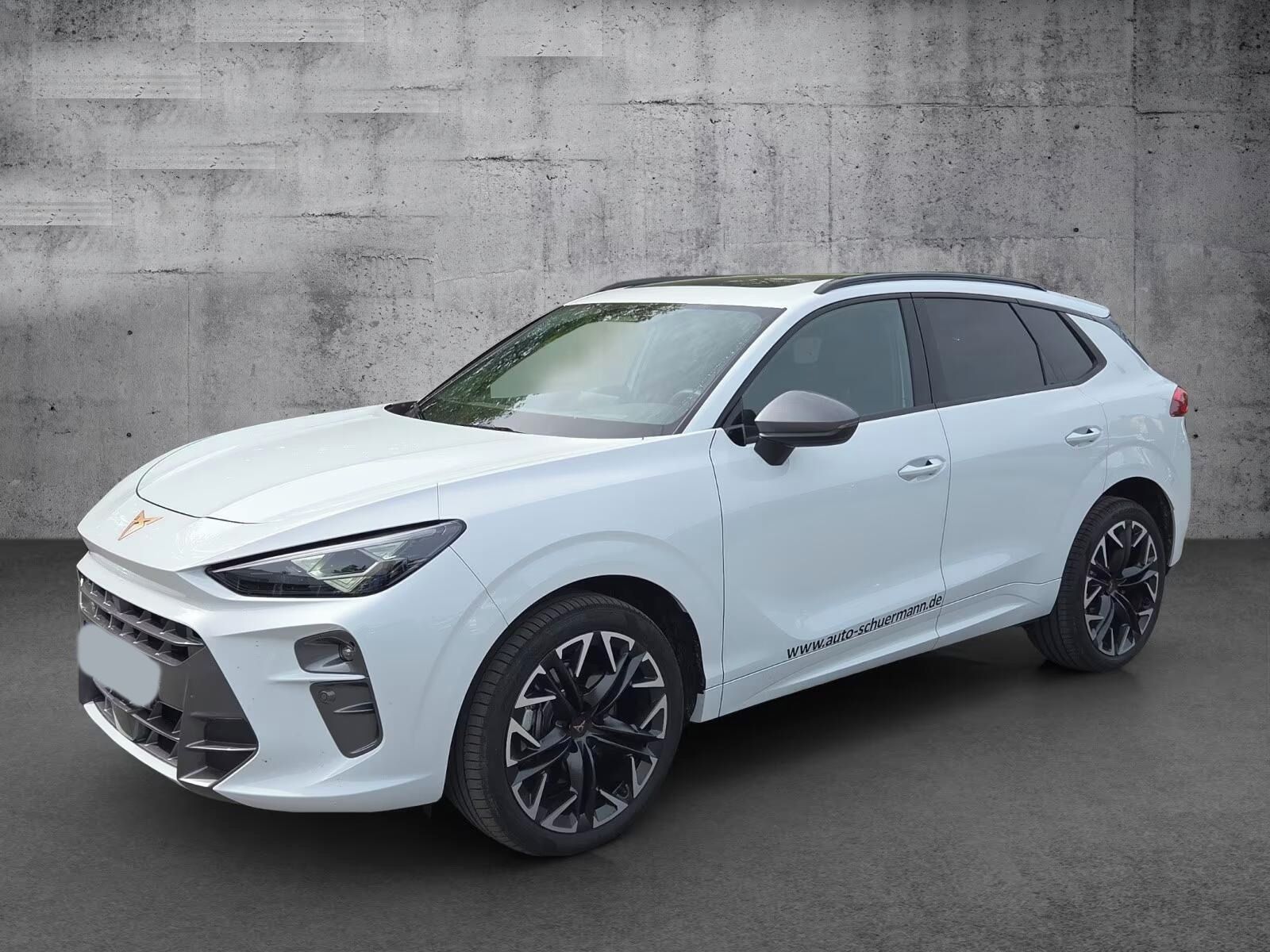 Cupra Terramar, 2.0 TSI 150kW DSG 4Drive*Navi* - fotka 3