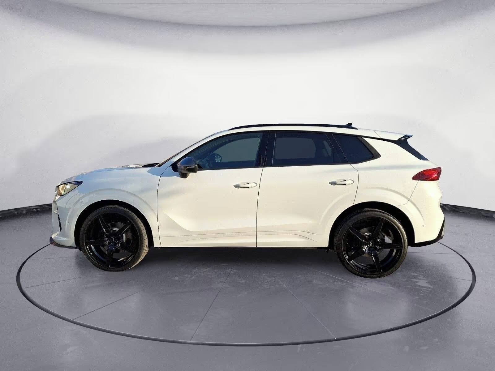 Cupra Terramar, VZ 2.0 TSI  4Drive*360° kamera - fotka 5