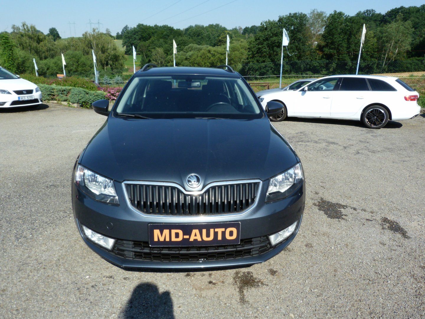 Škoda Octavia, 1.6 tdi Greenline - fotka 2