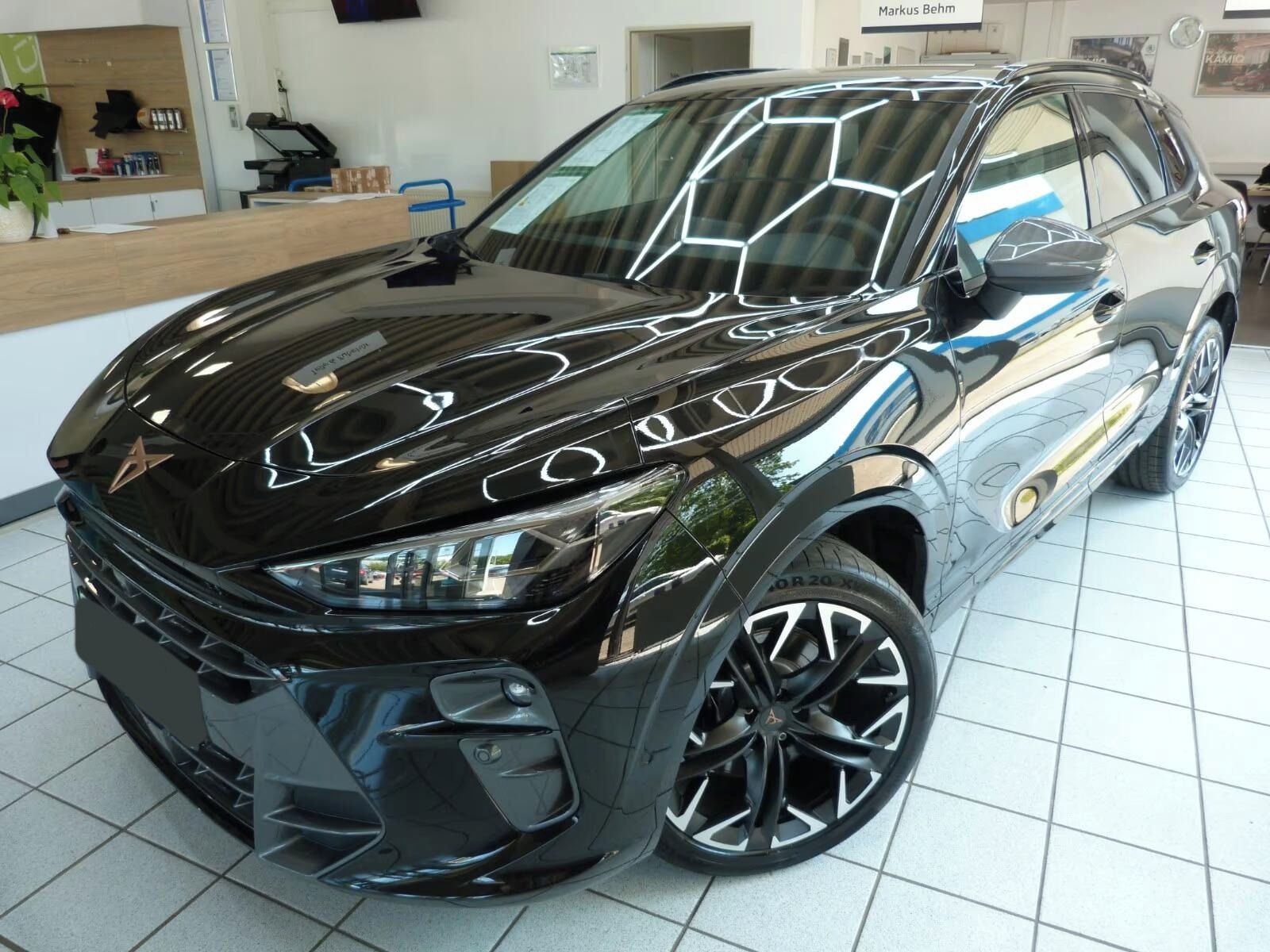 Cupra Terramar, 2.0 TSI 4Drive*Alcantara*Navi*