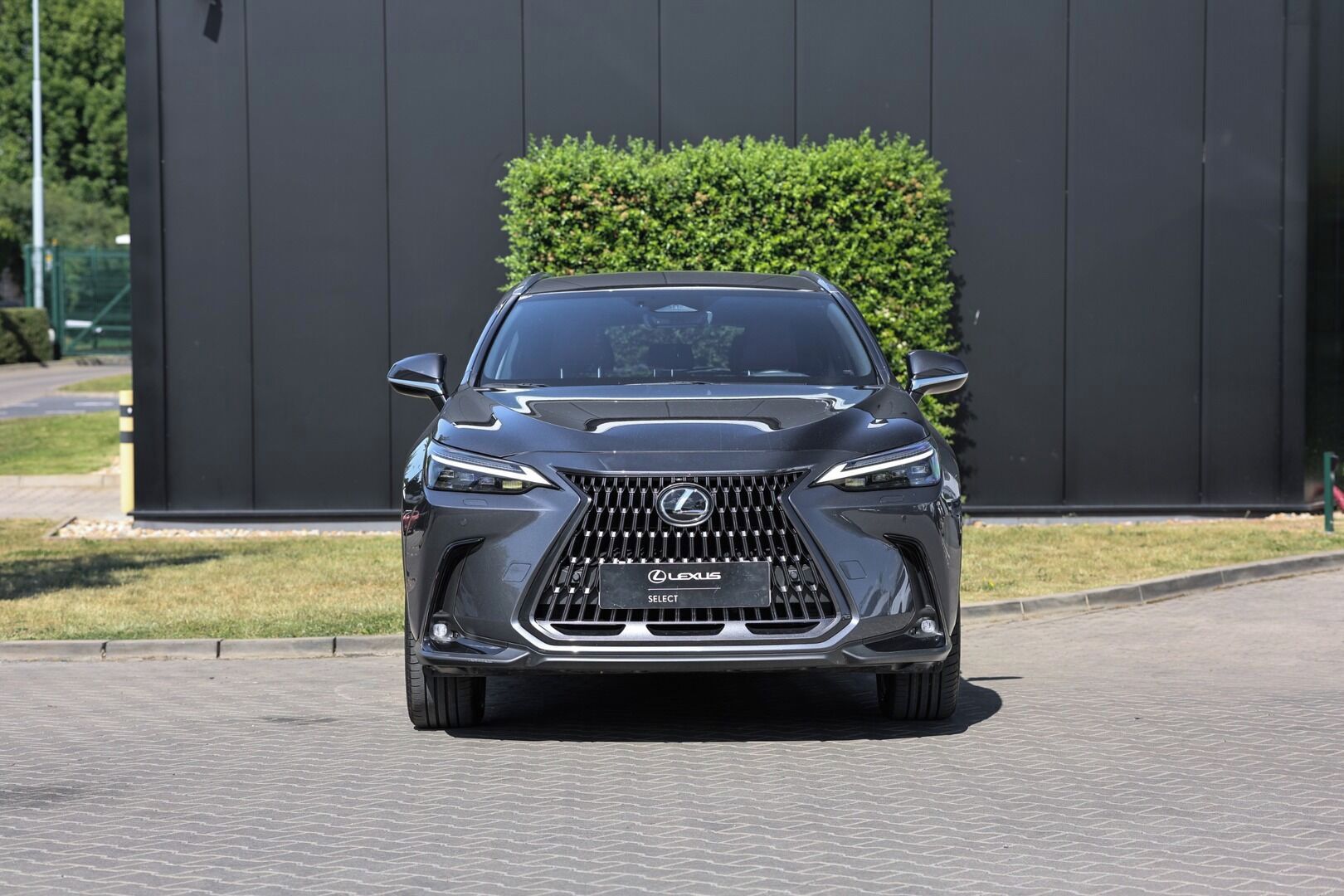 Lexus NX 350h, 350H 2,5 HEV EXECUTIVE TOP - fotka 3