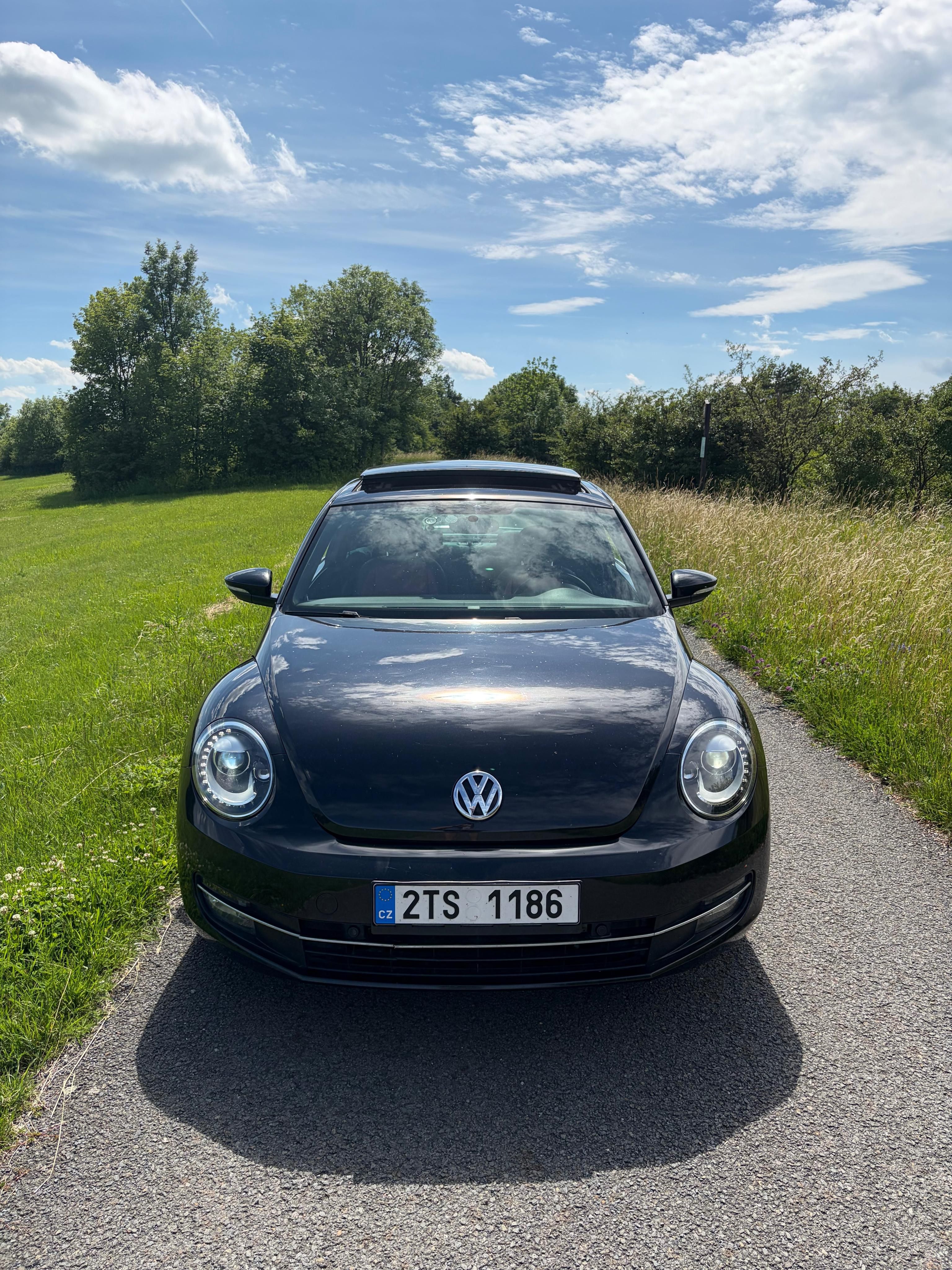Volkswagen Beetle, VW Beetle Sport 2.0 TSI, DSG - fotka 4