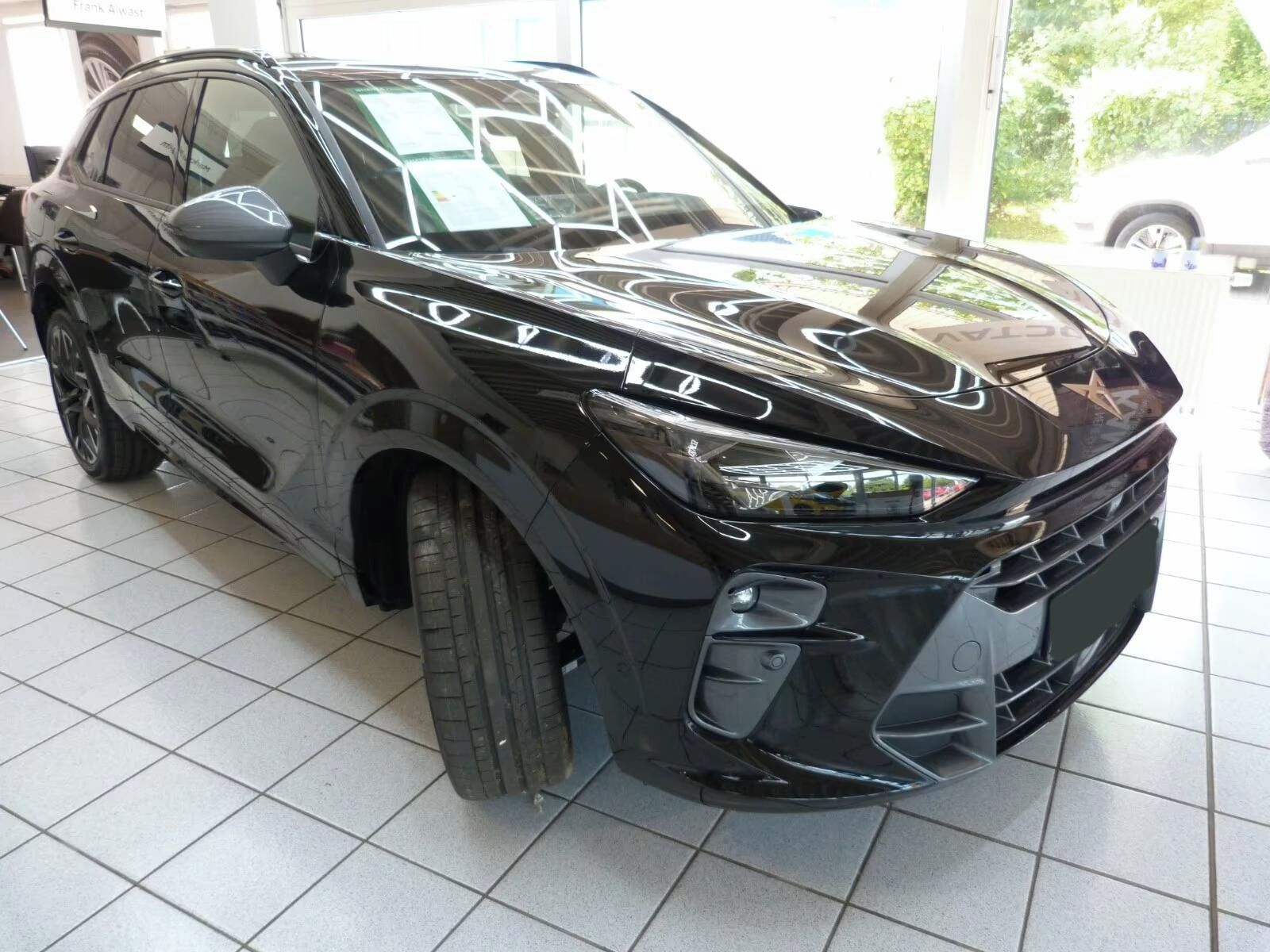 Cupra Terramar, 2.0 TSI 4Drive*Alcantara*Navi* - fotka 3