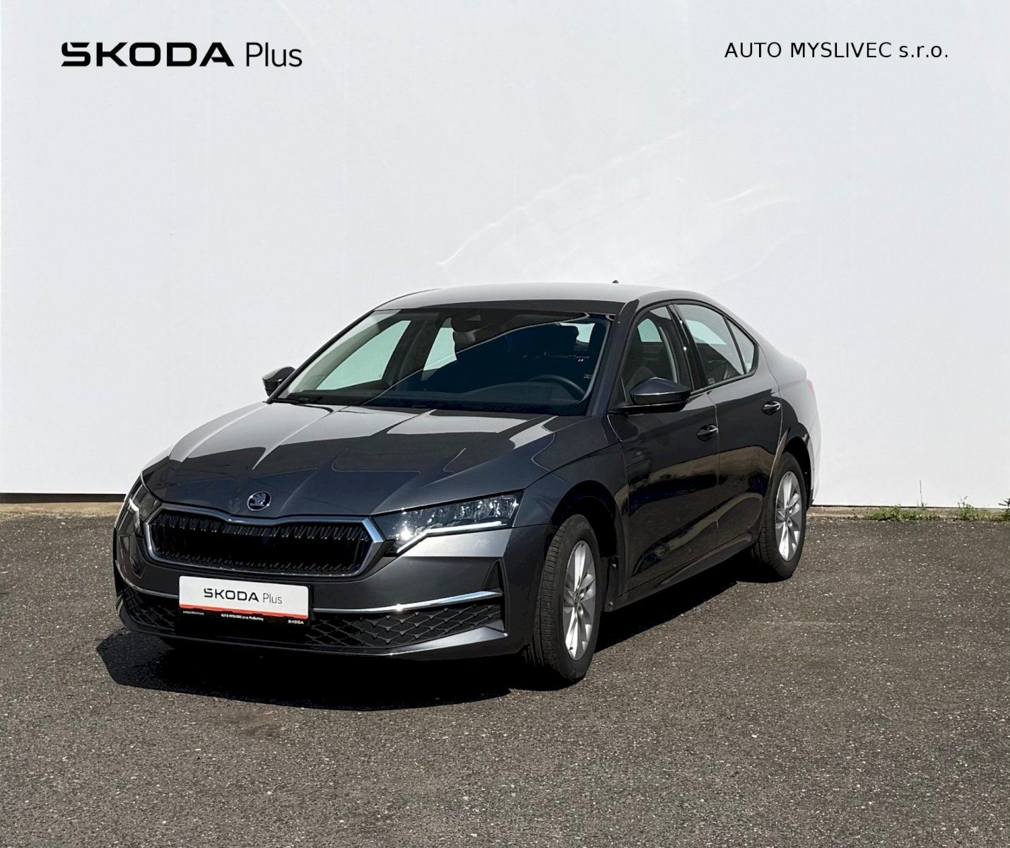 Škoda Octavia, Octavia Selection 2.0 TDI 85kW