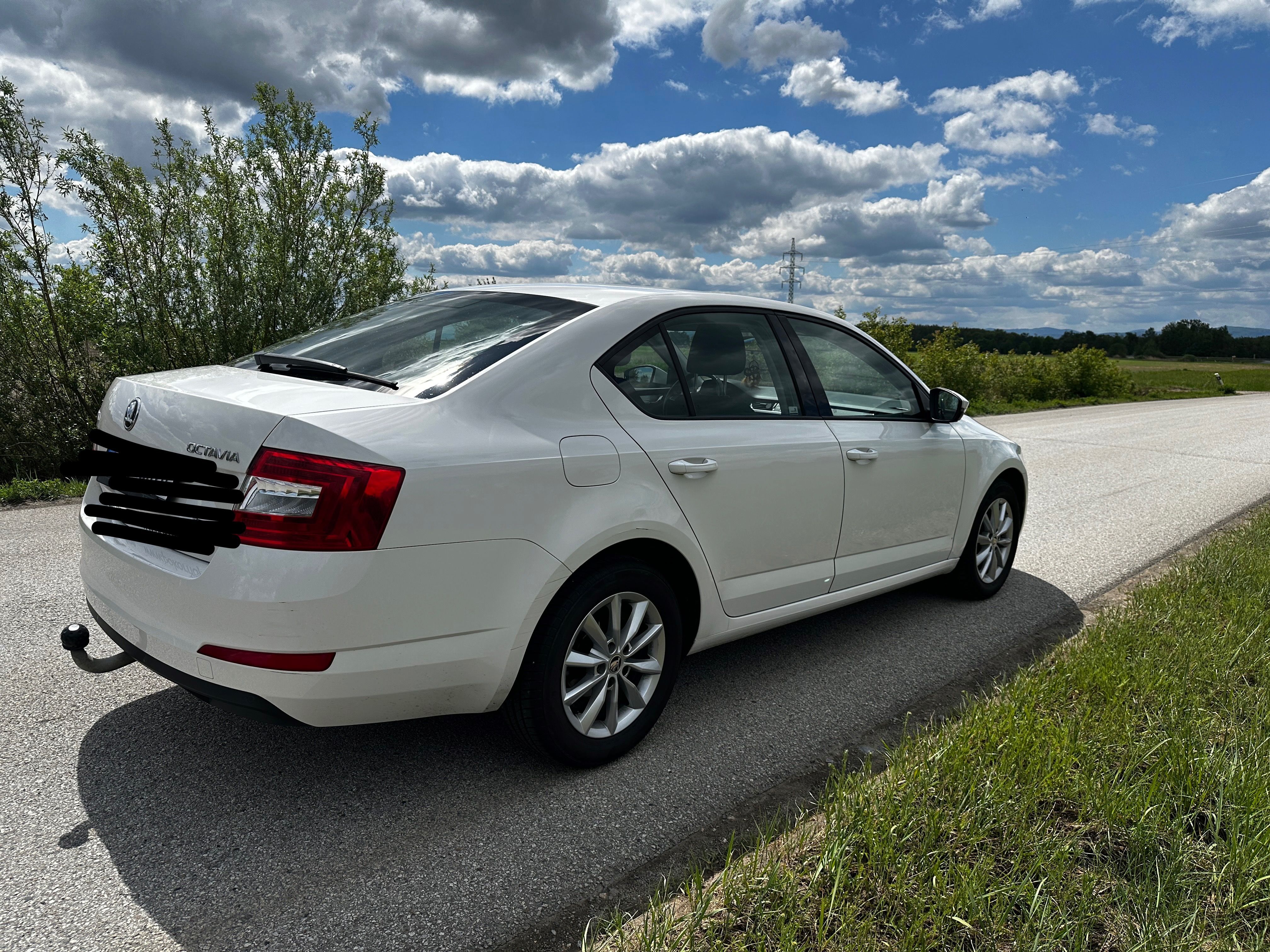 Škoda Octavia, ČR, 141tis,xenony - fotka 4