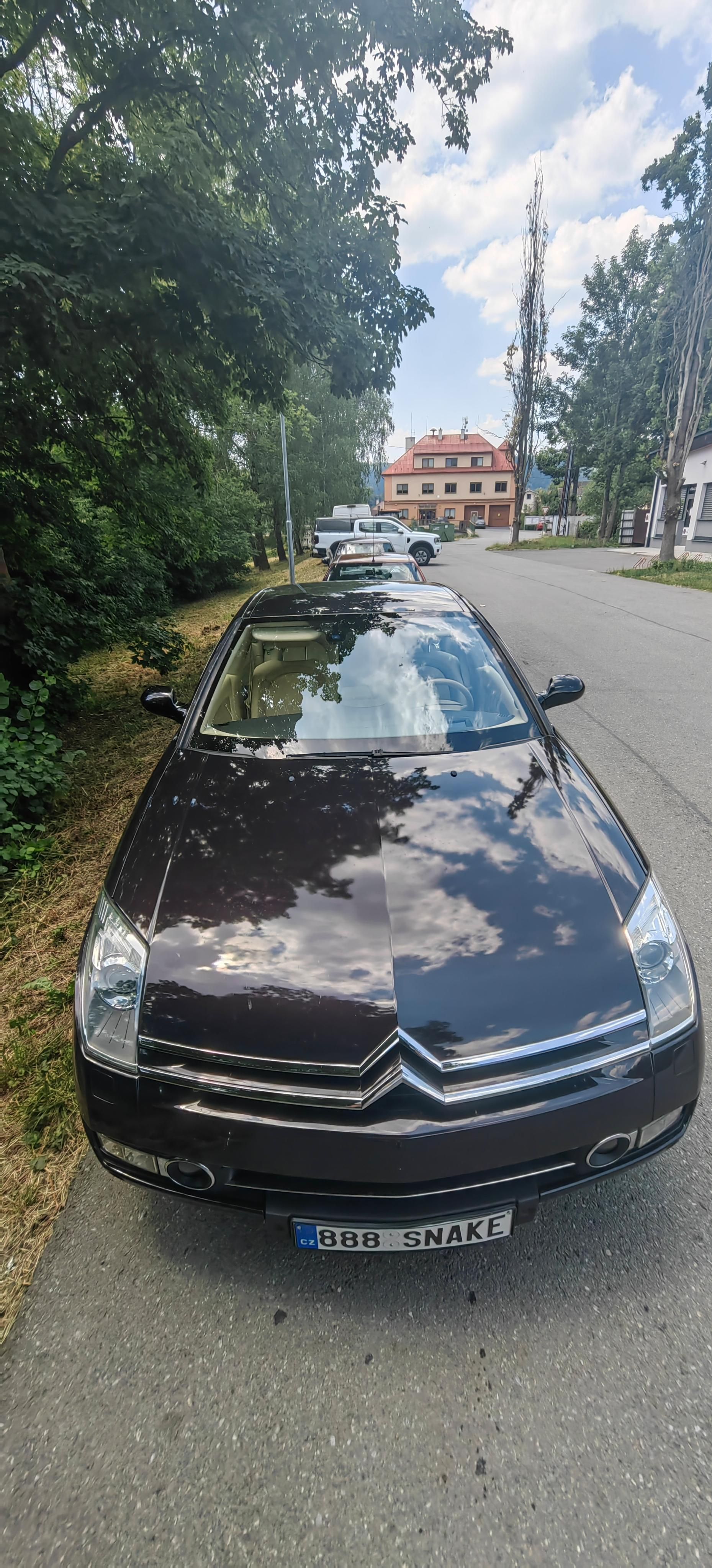 Citroën C6, Benzin, Ganache, Bilá kuže - fotka 2