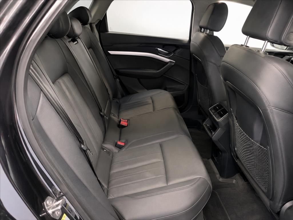 Audi e-tron, 50 Quattro Proline Limited - fotka 5