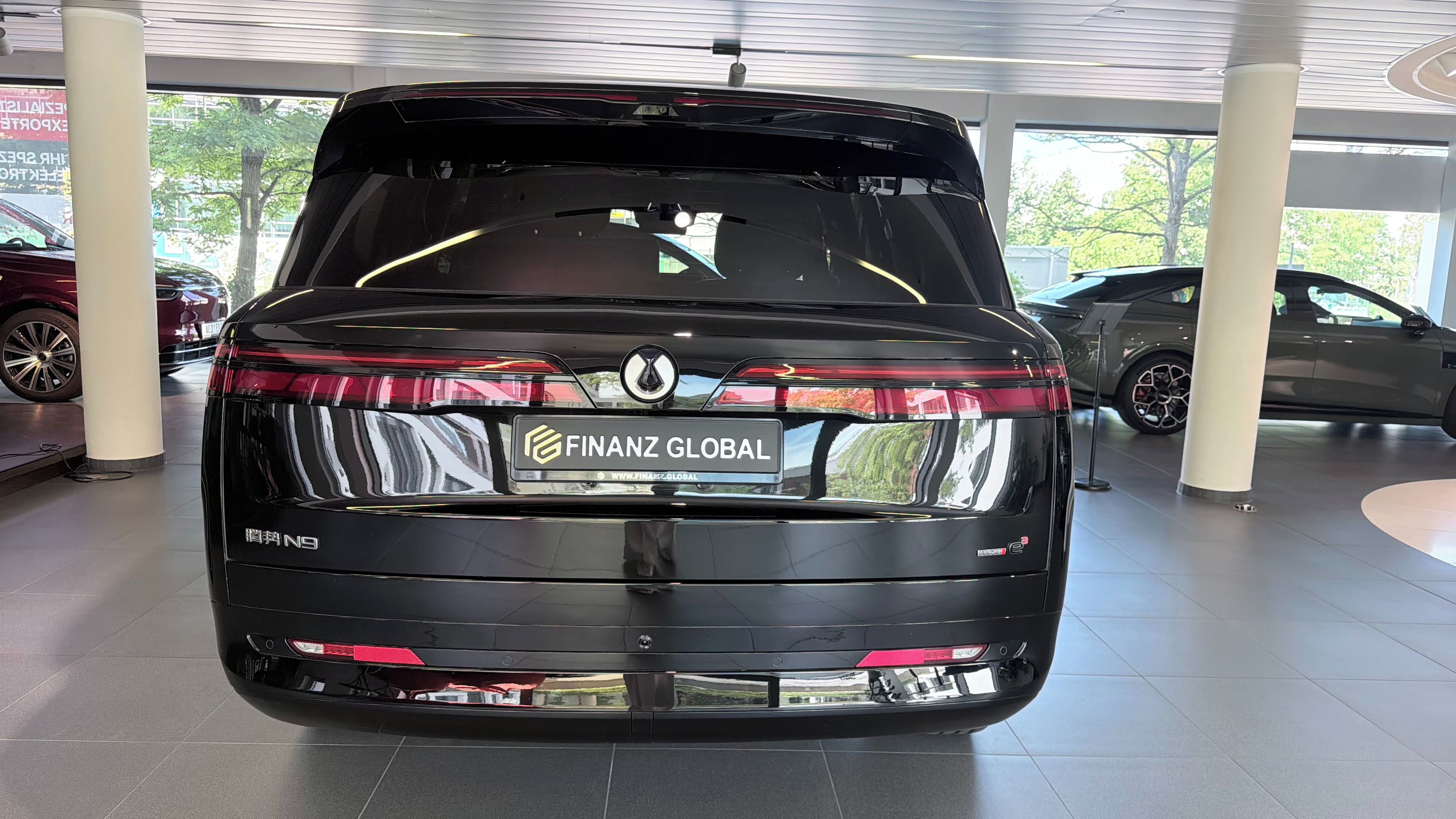 Denza N9, e / 680 kW / TOP výbava - fotka 4
