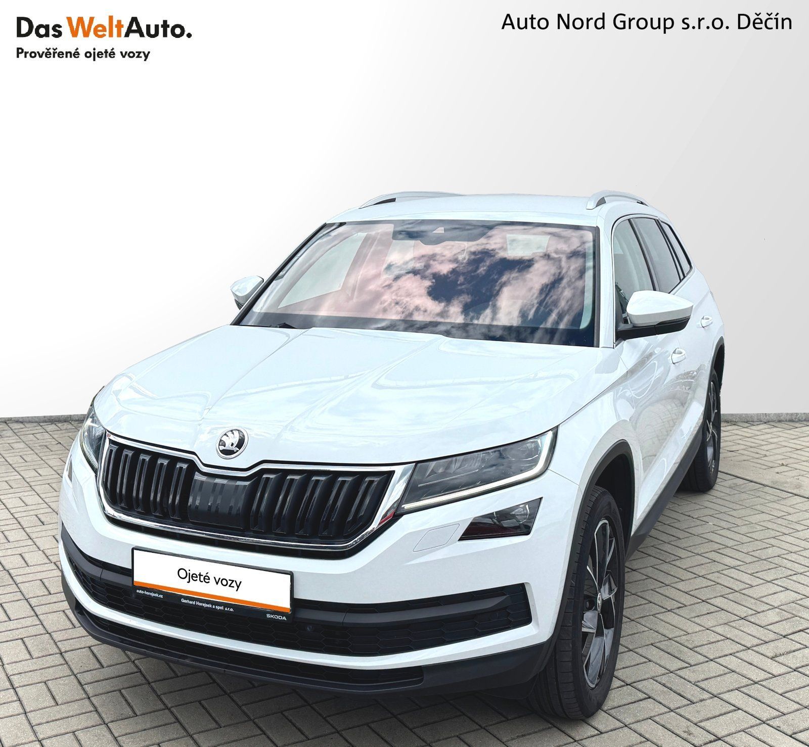 Škoda Kodiaq, Kodiaq 2.0 TDI 110 kW Style