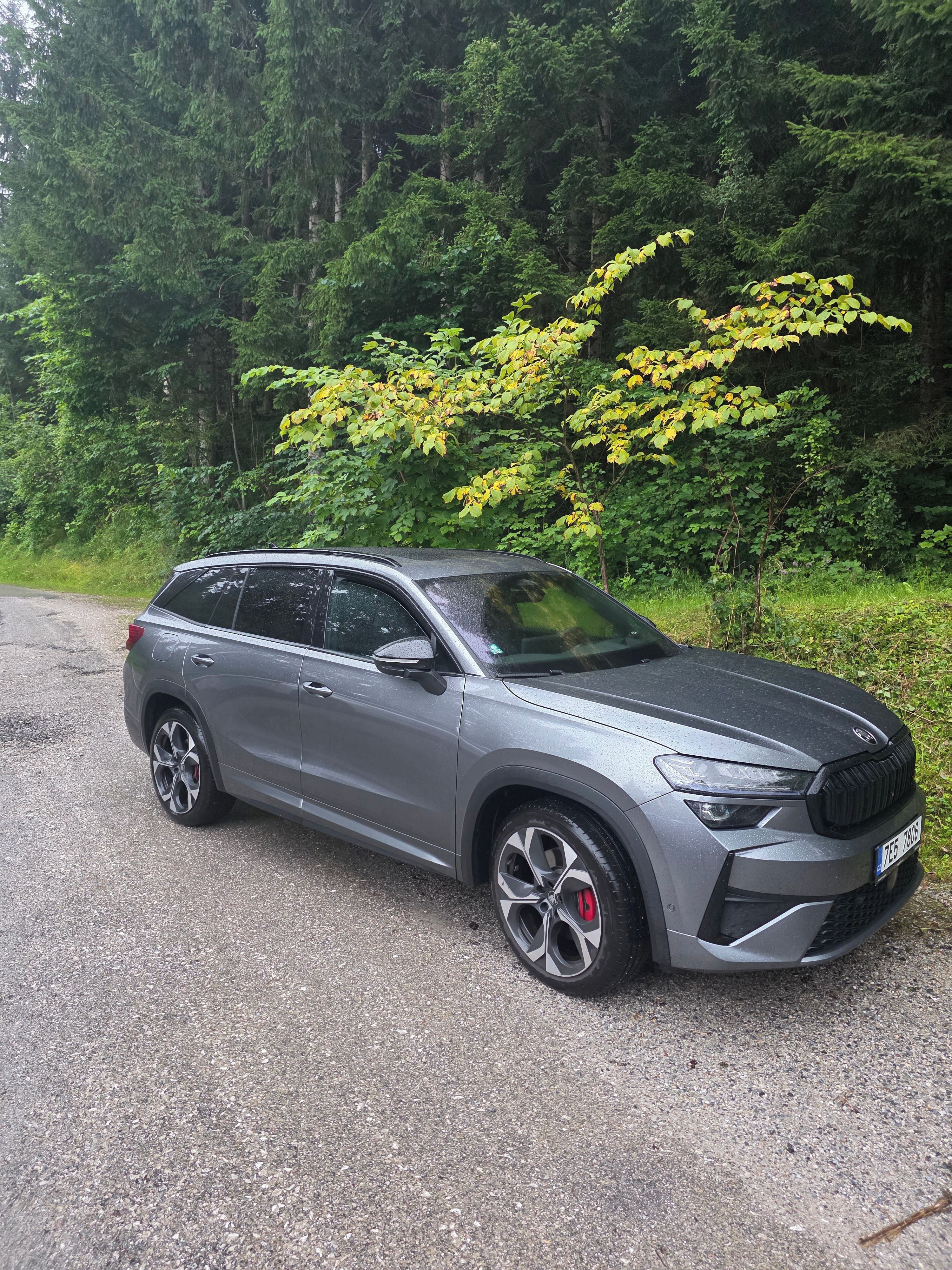 Škoda Kodiaq, Skoda Kodiaq RS - fotka 2